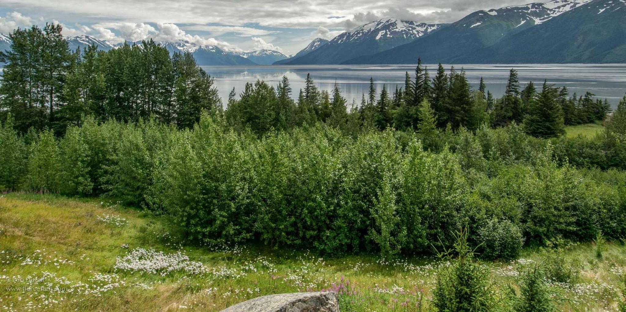 Anchorage Glaciers and Wildlife Day Tour - Image 2