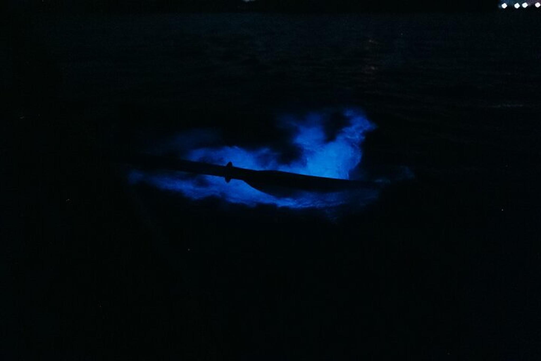 Florida Bioluminescent Kayak Tour - Image 3