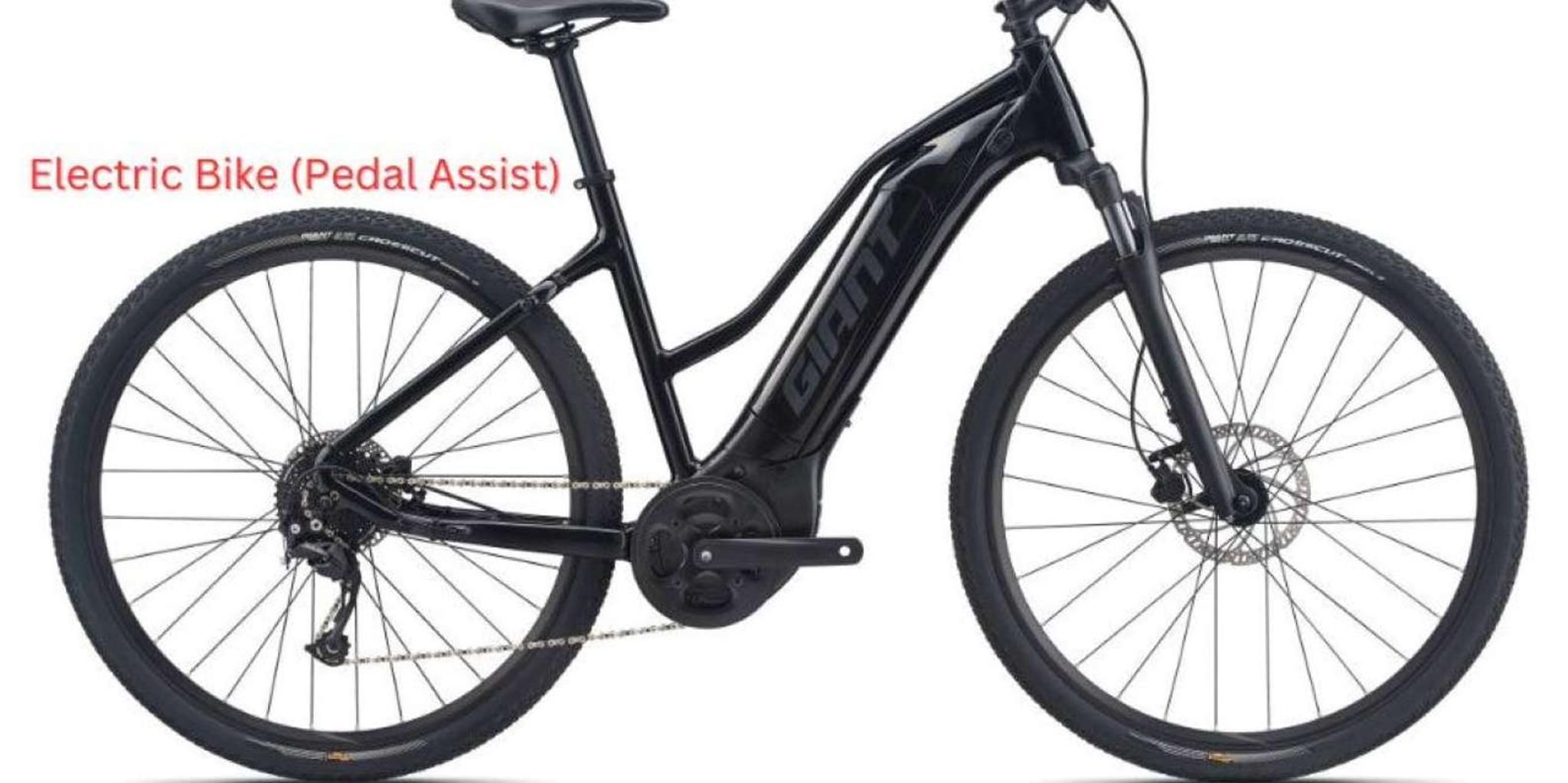 Los Angeles Bike Rental: Pedal or Electric Options - Image 2