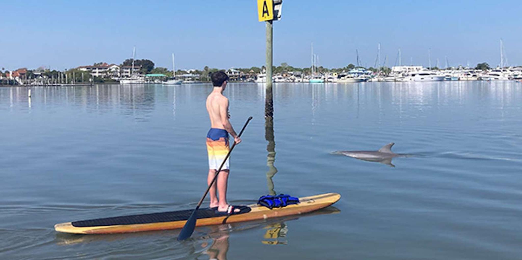 St. Augustine Dolphin and Manatee Paddle Tour - Image 3