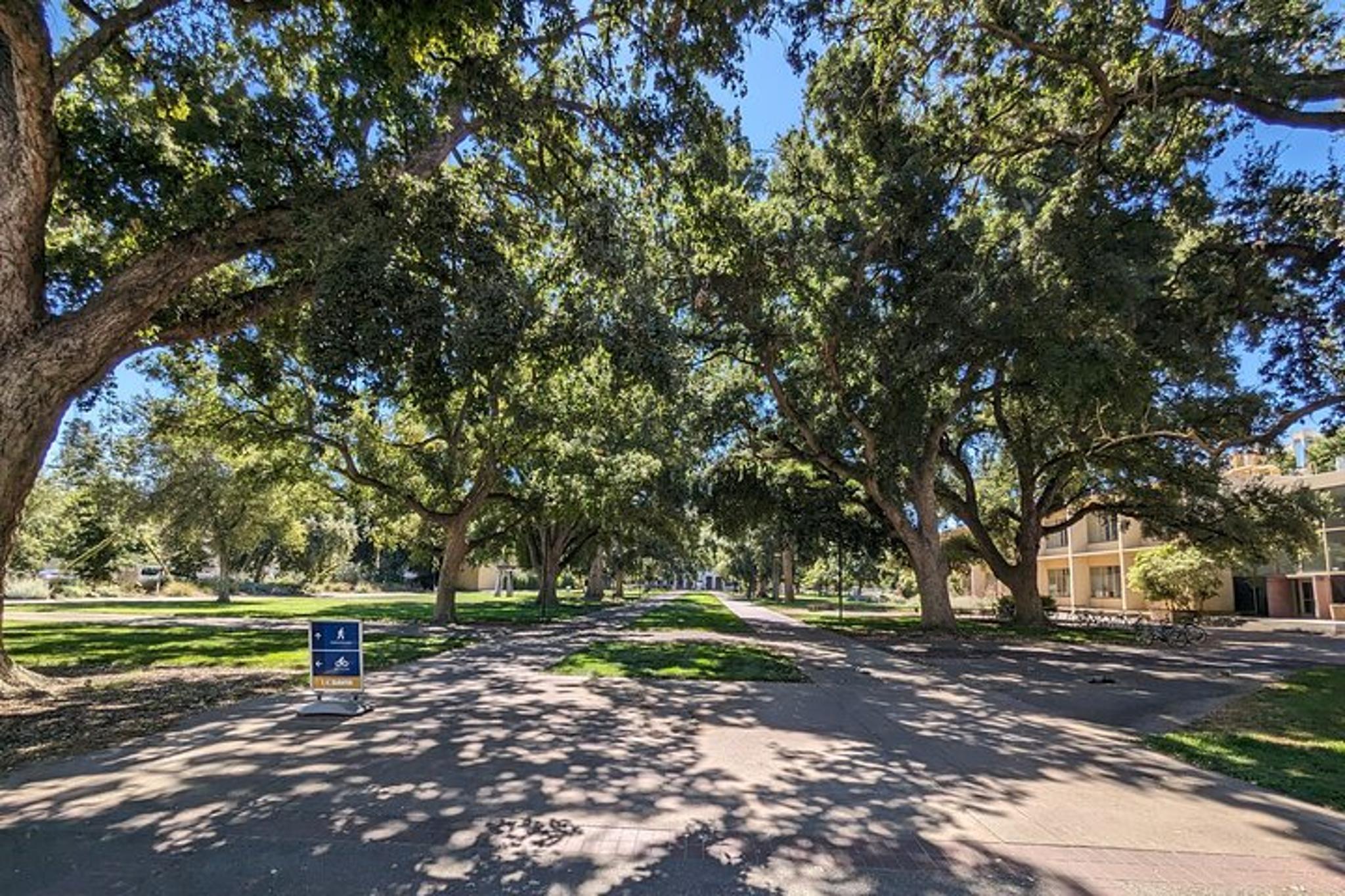 Davis Scavenger Hunt Walking Tour - Image 2