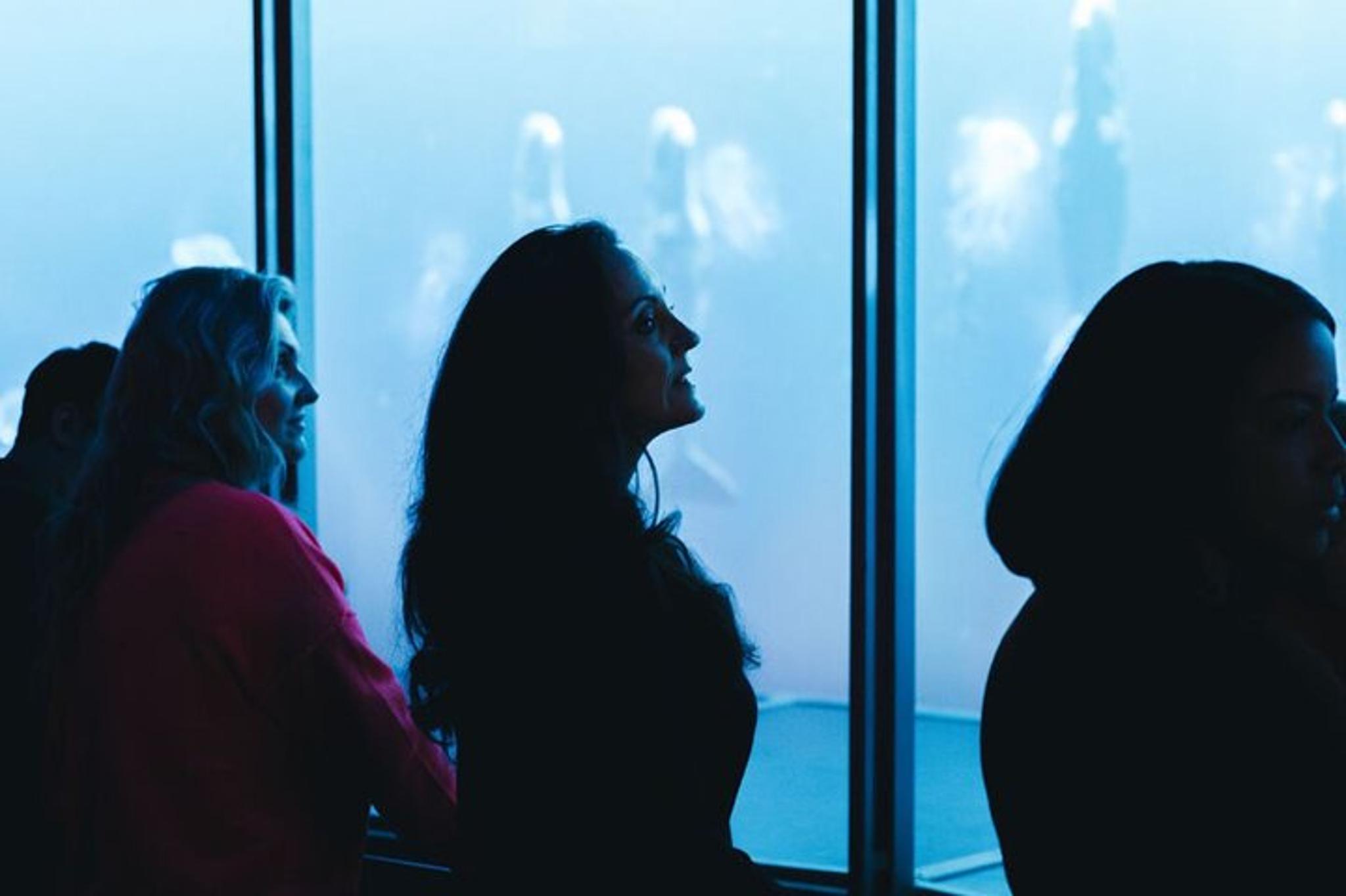 Sevierville Digital Ocean Adventure - Image 4