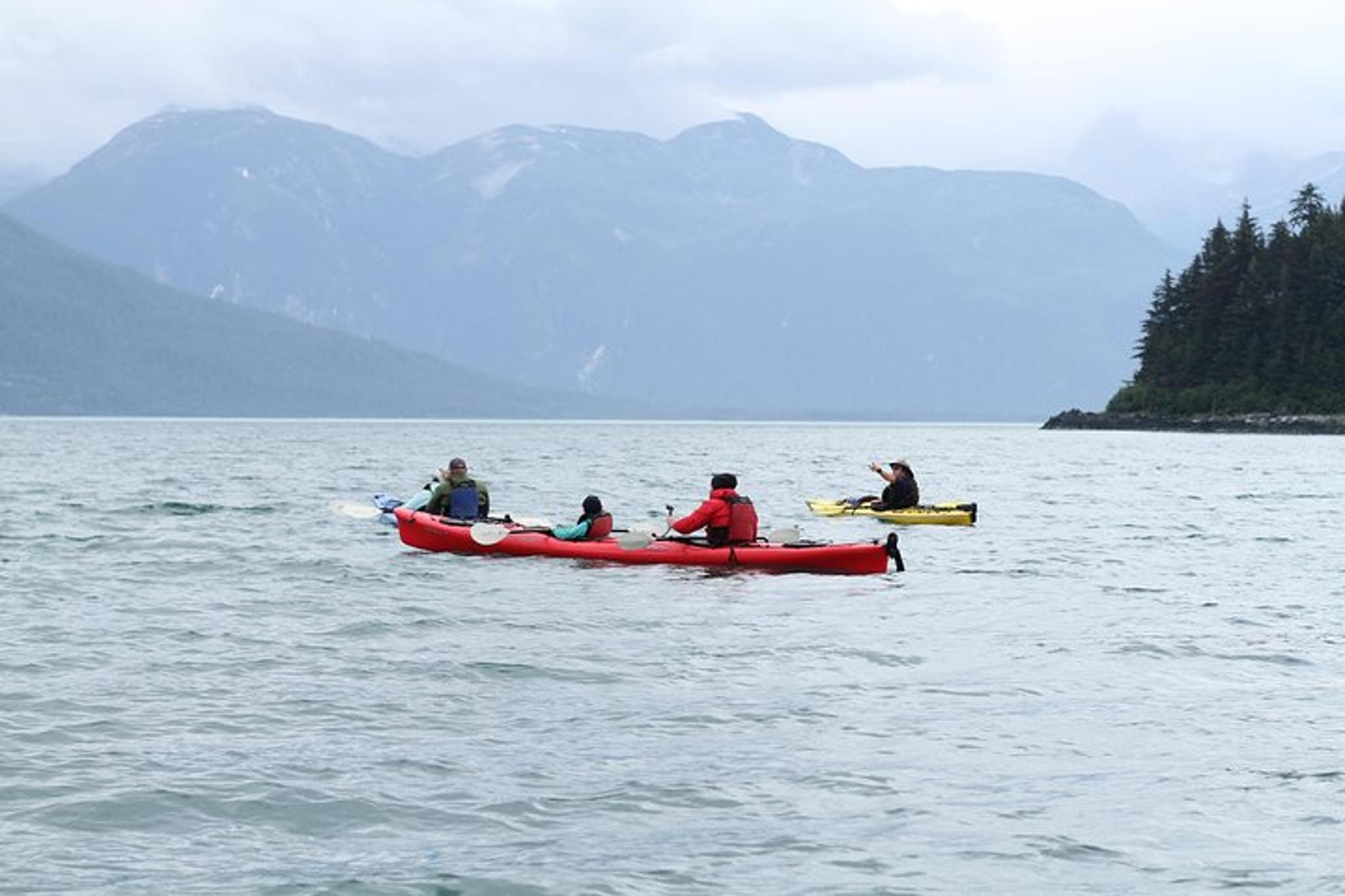 Haines Sea Kayaking Adventure - Image 5