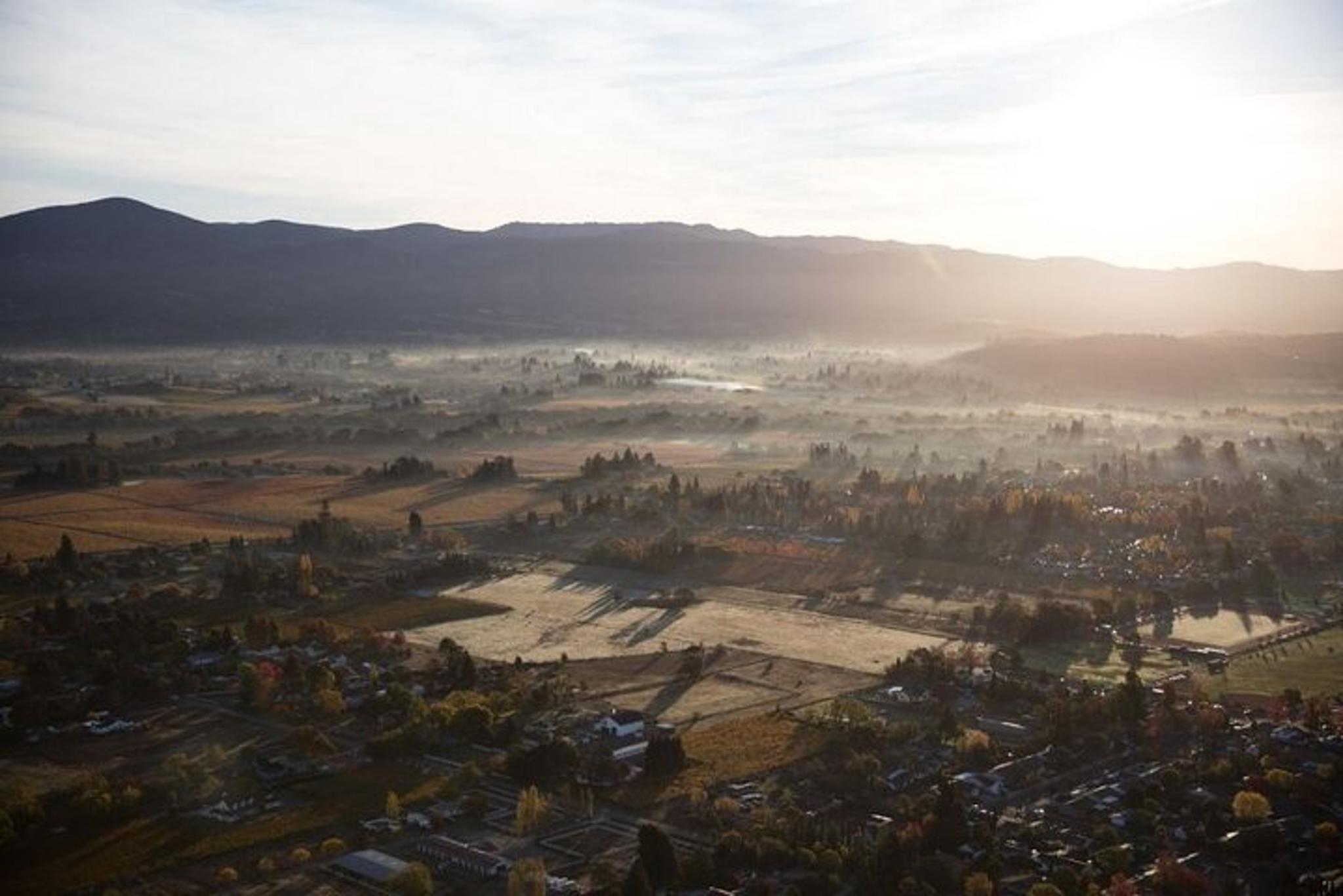 Napa Valley Airplane Flight Tour - Image 3