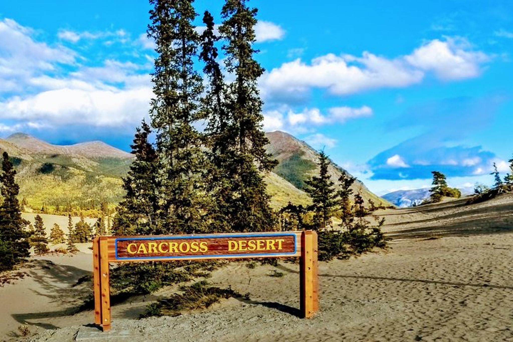 Skagway Yukon Full-Day Tour - Image 3