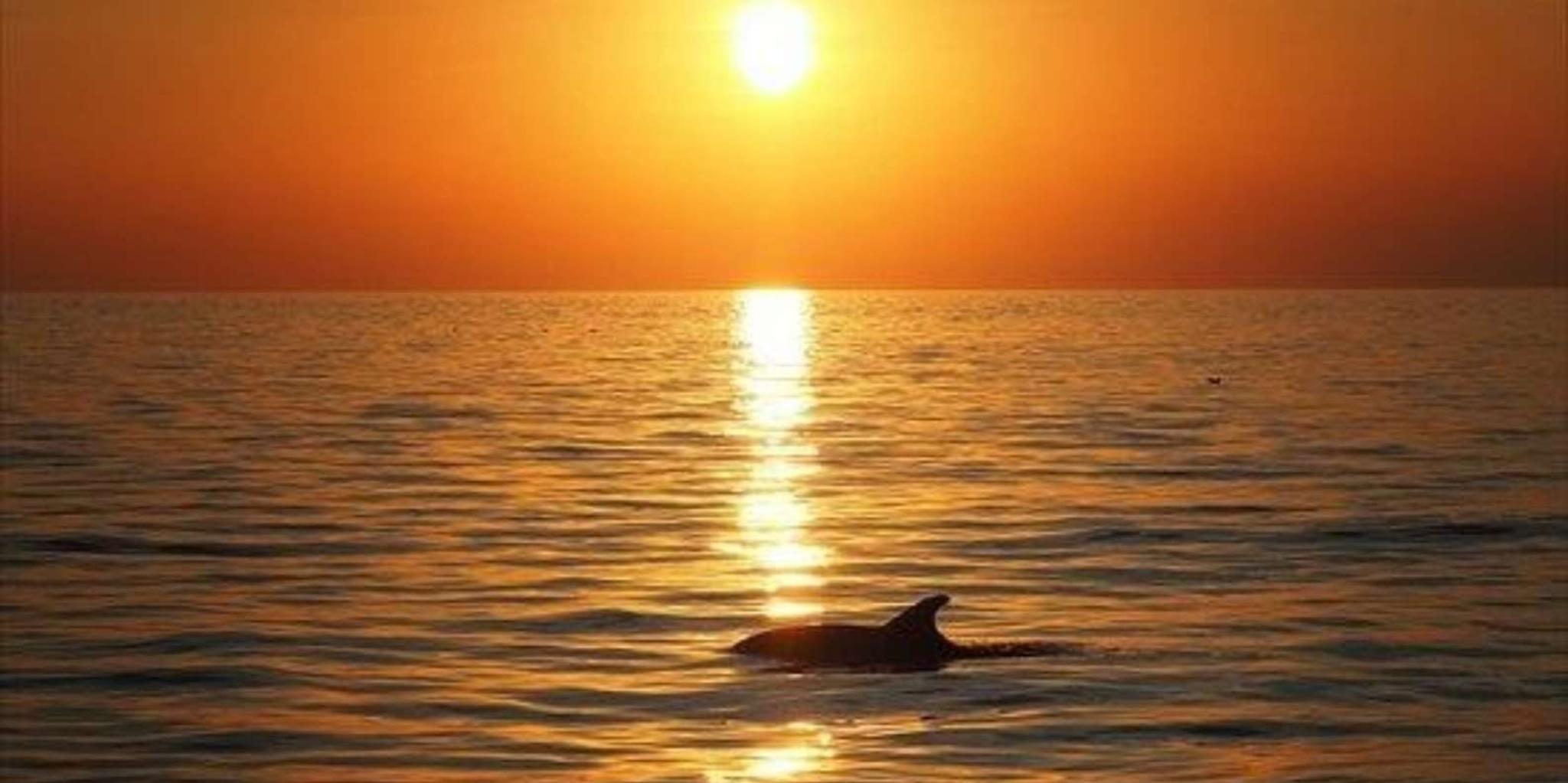 Panama City Beach Sunset Catamaran Sail - Image 5