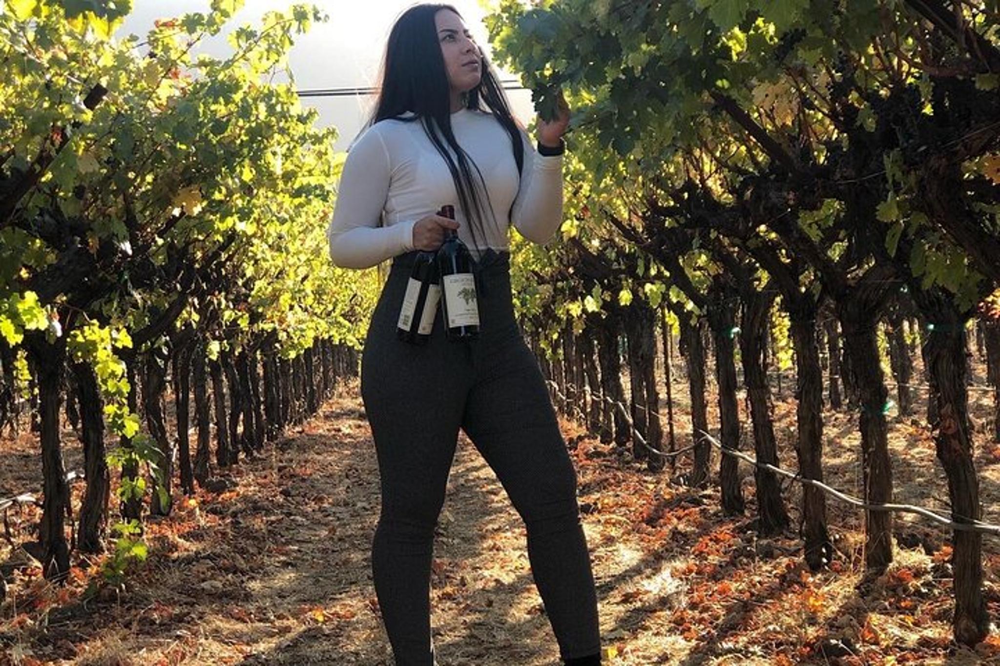 Napa or Sonoma Wine Tour by Private SUV 6 hr - Image 6