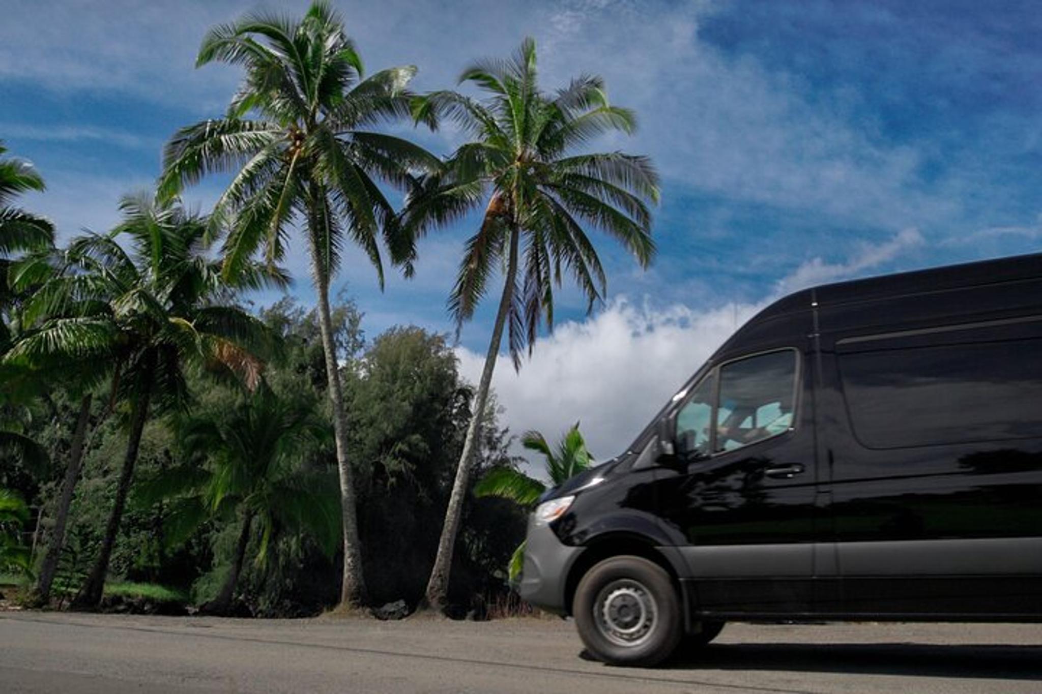 Maui Road to Hana Adventure with Farm-to-Table Lunch - Image 3