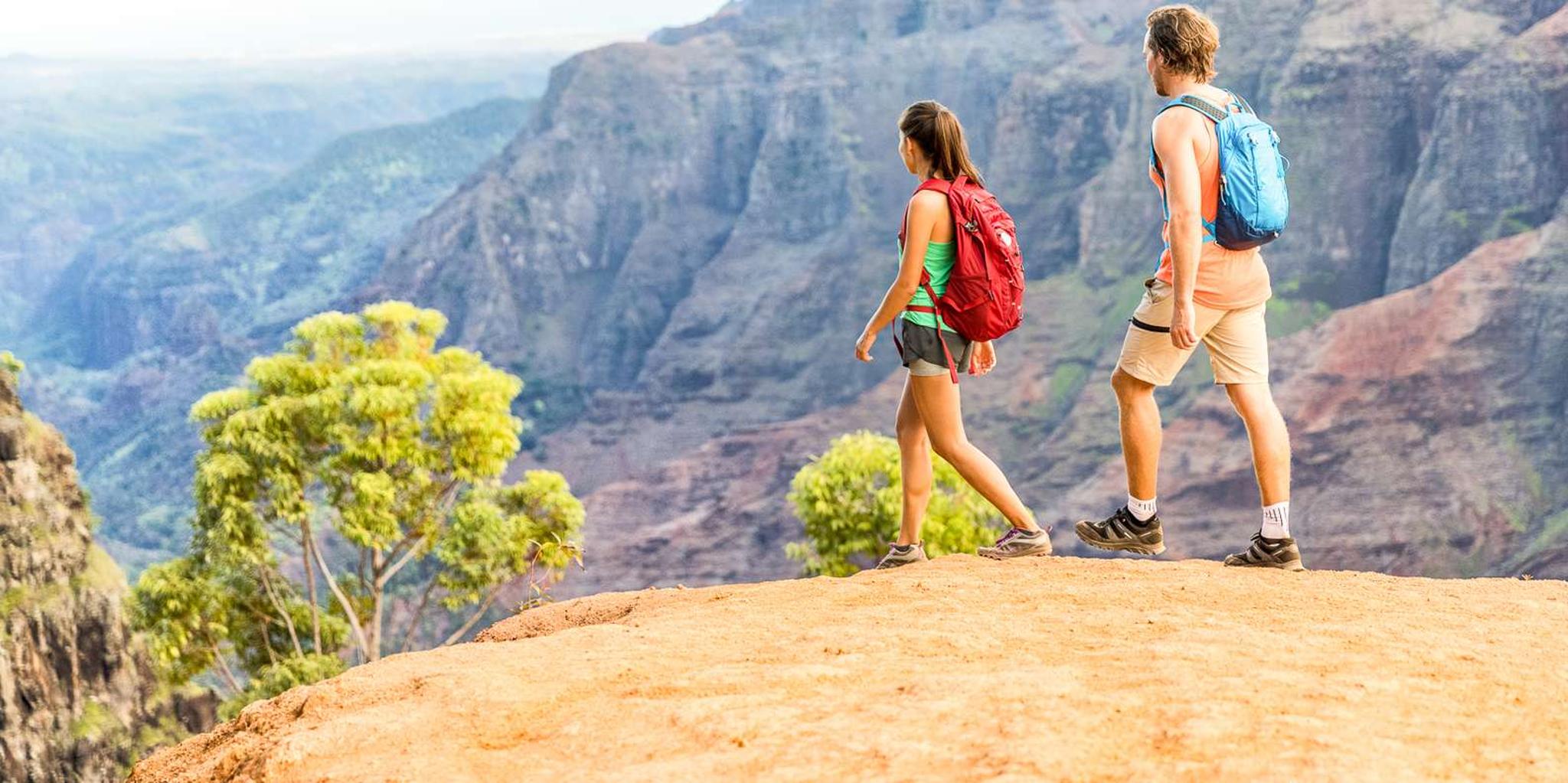 Kauai Waimea Canyon and Wailua River Tour - Image 3