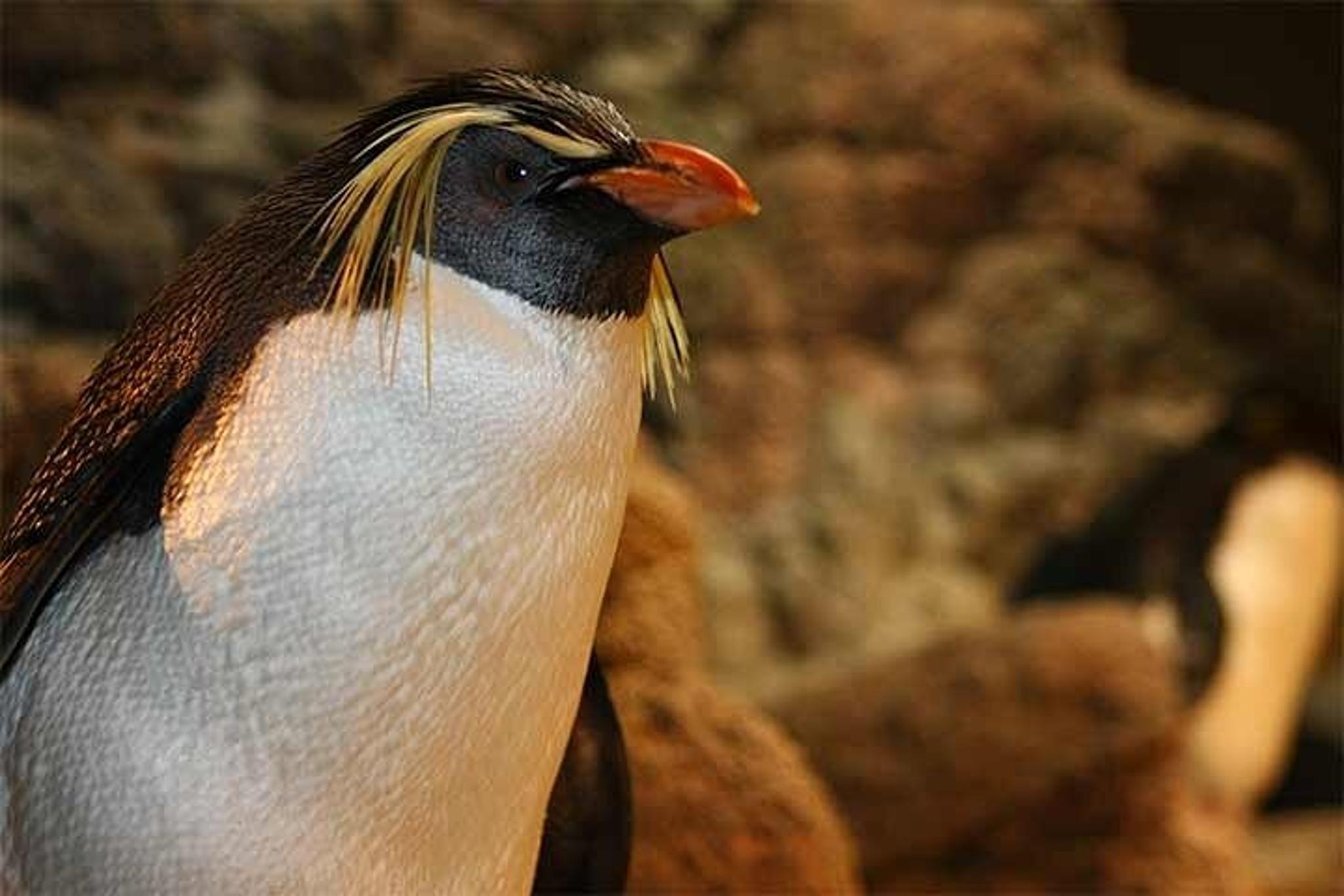 Boston to Acadia National Park 3-Day Tour - Image 5