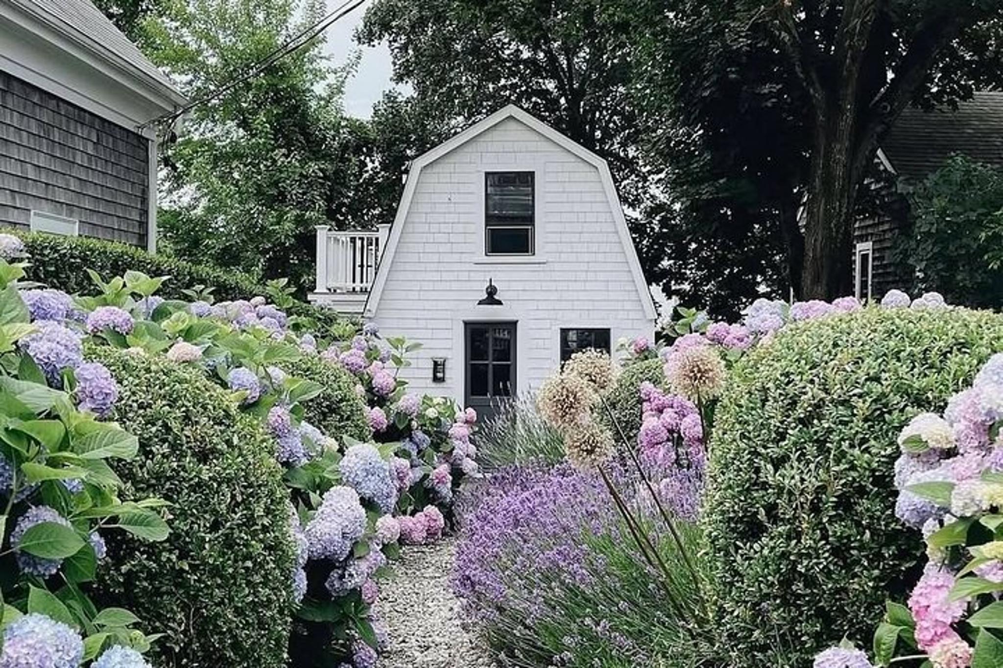 Provincetown West End History Tour - Image 3