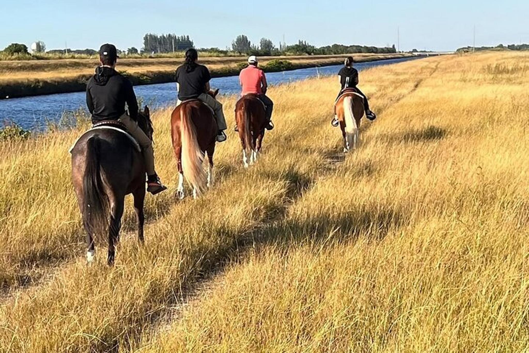 Miami Horse Riding Countryside Tour 1 hr - Image 6
