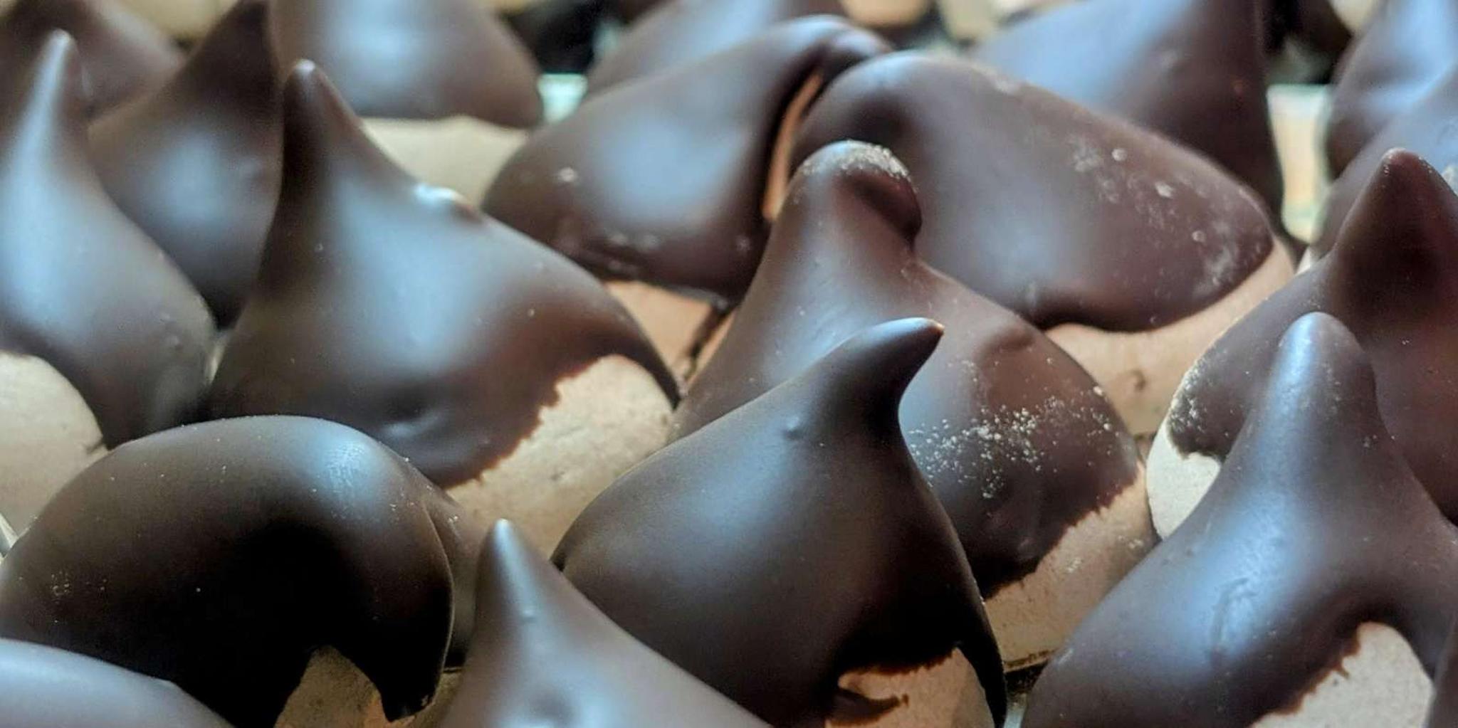 Lake Tahoe Van Tour 6 hr - Image 6