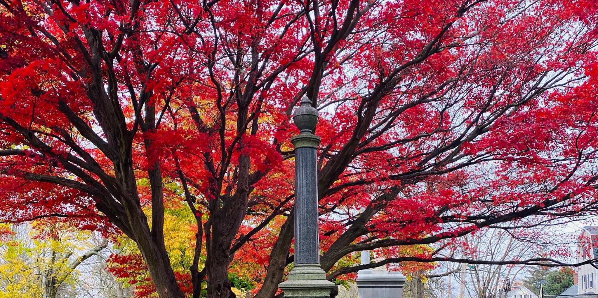 Salem Mysteries and Murders Night Walking Tour - Image 4