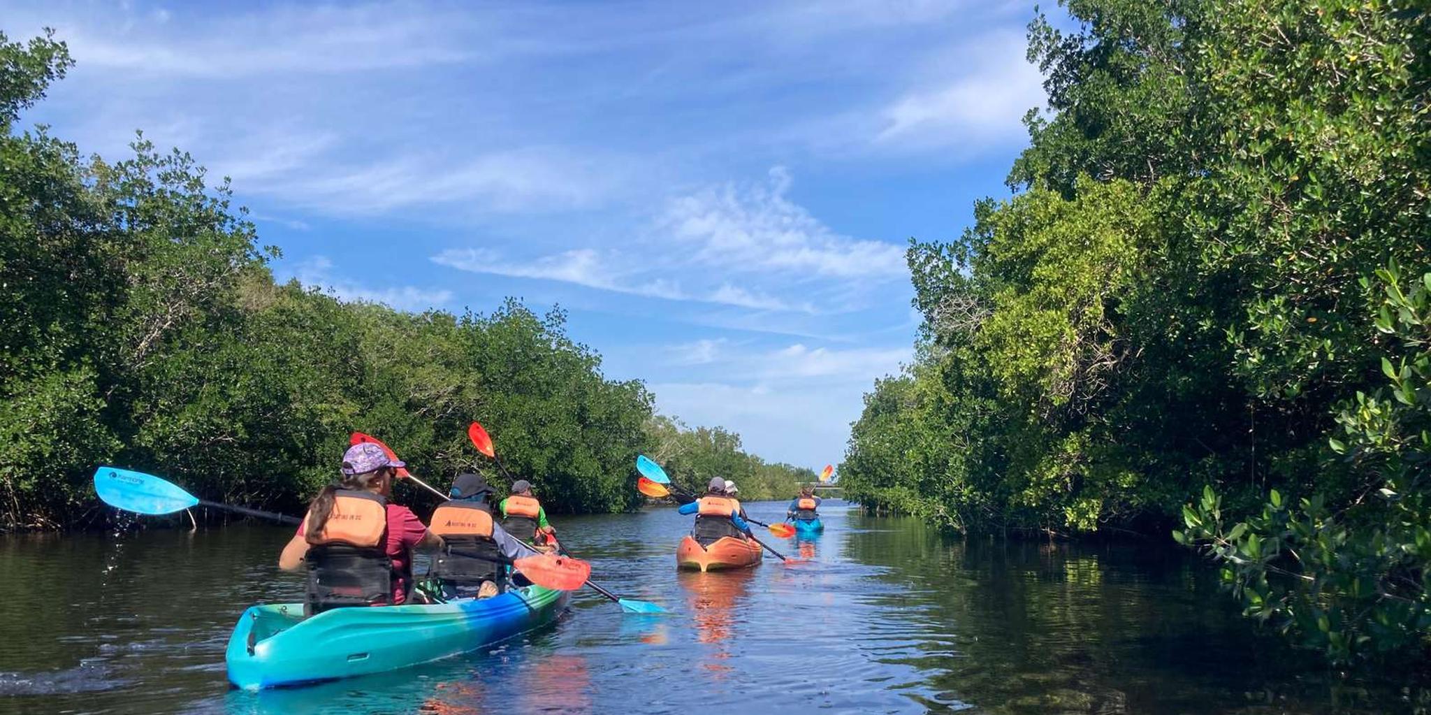 Miami Everglades National Park Kayaking and Hiking Tour