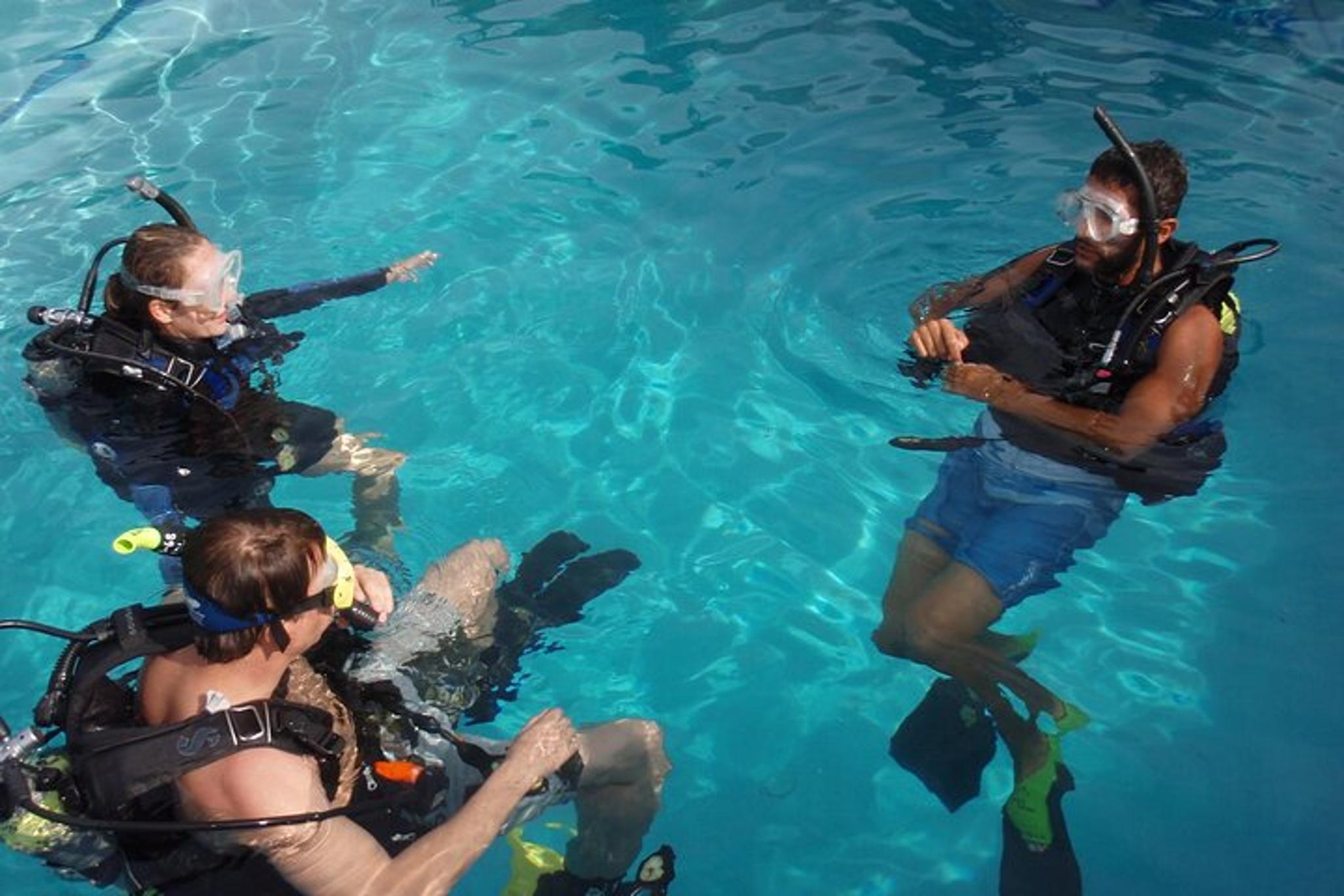 Hawaii Pool Scuba Refresher - Image 4