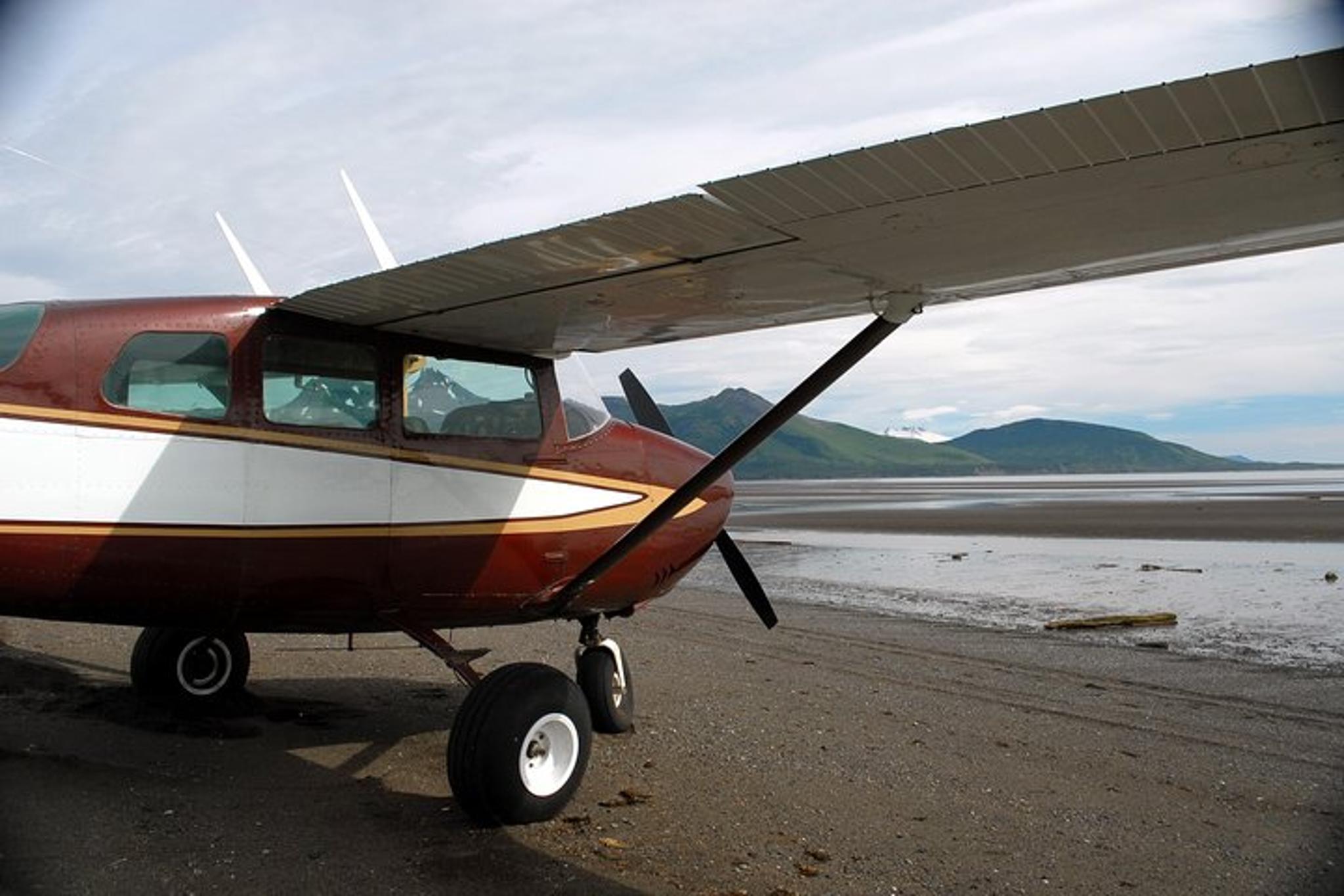 Homer Bear-Viewing Day Trip - Image 6