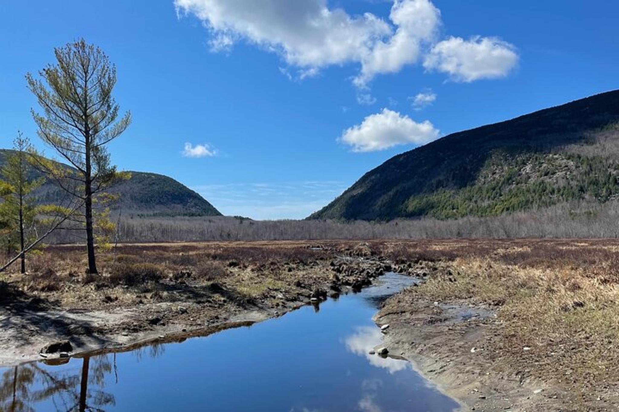 Acadia National Park Self-Guided Driving Tour - Image 6