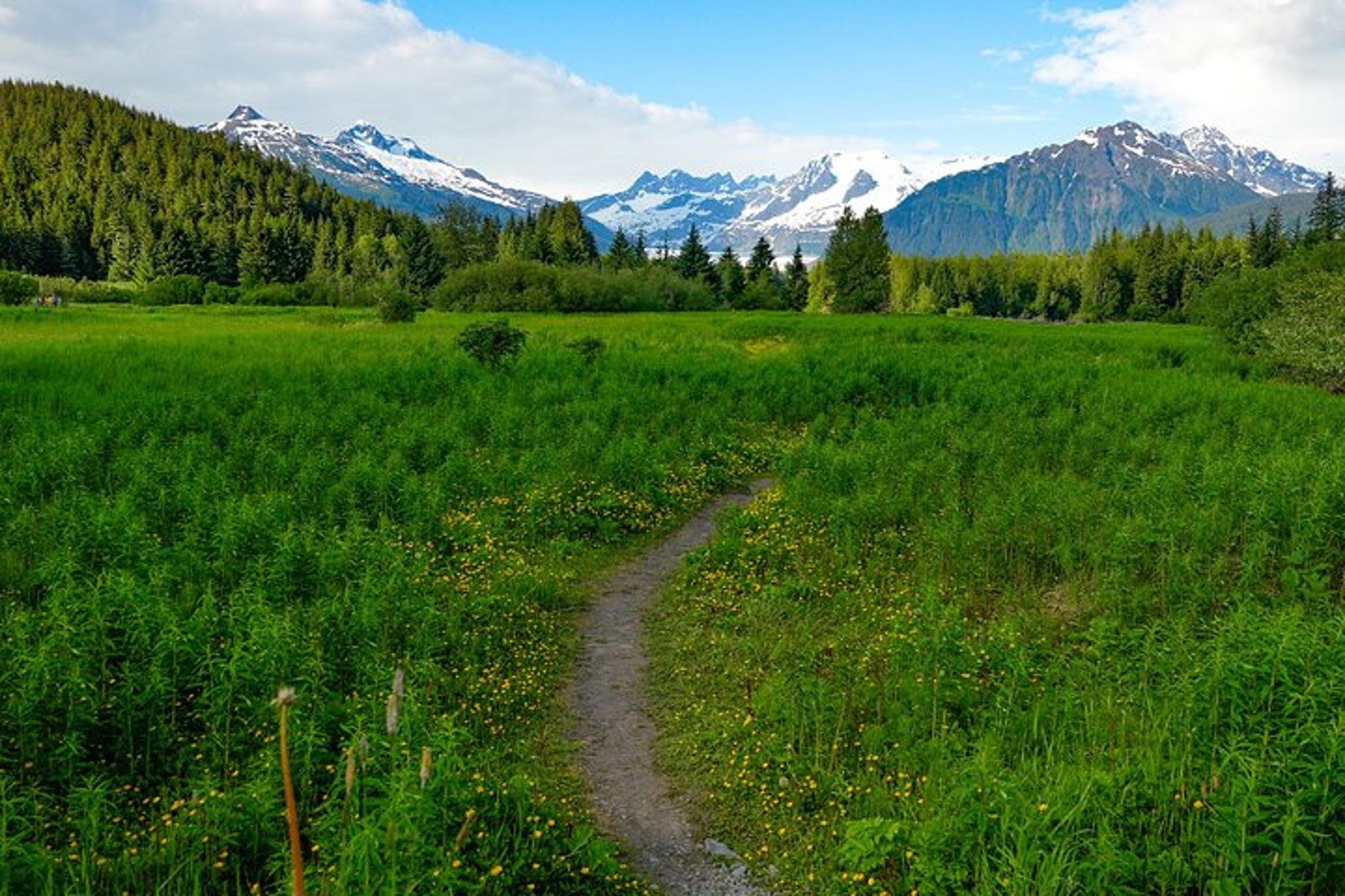 Juneau Mendenhall Glacier Tour - Image 6