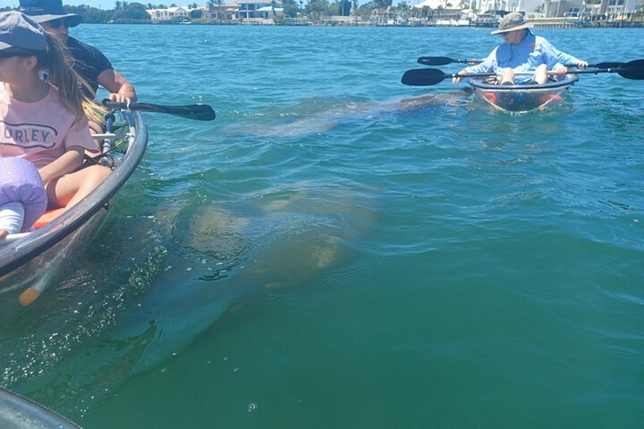 Anna Maria Island Clear Kayak Tour - Image 6