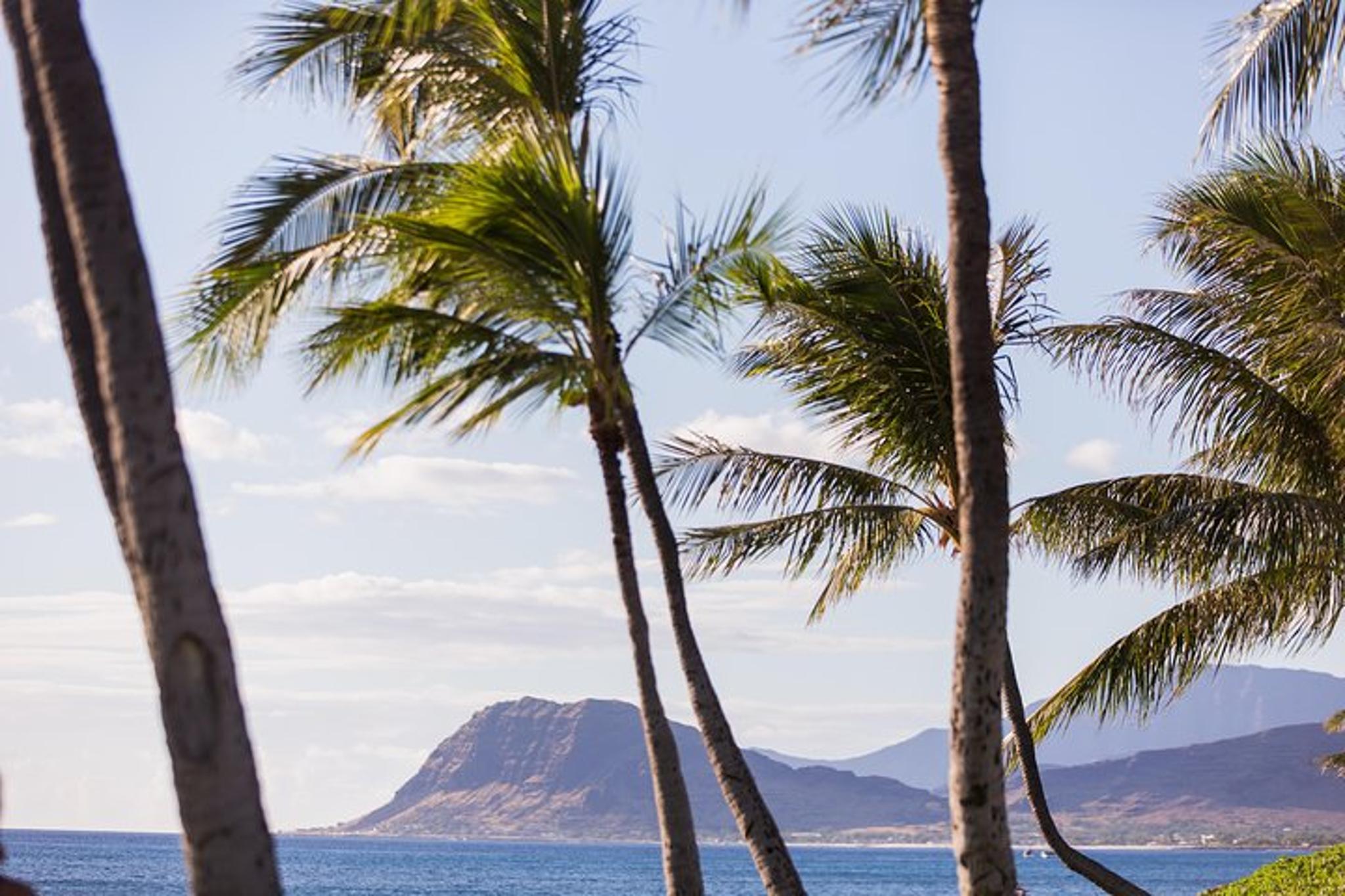 Honolulu Luau at Paradise Cove 4 hr - Image 6