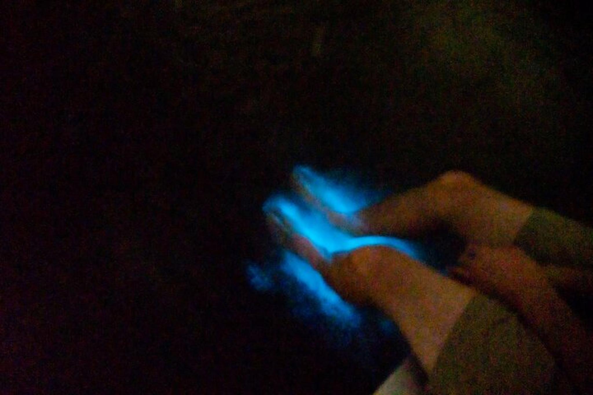 Indian River Lagoon Bioluminescence Craigcat Tour 2 hr - Image 4