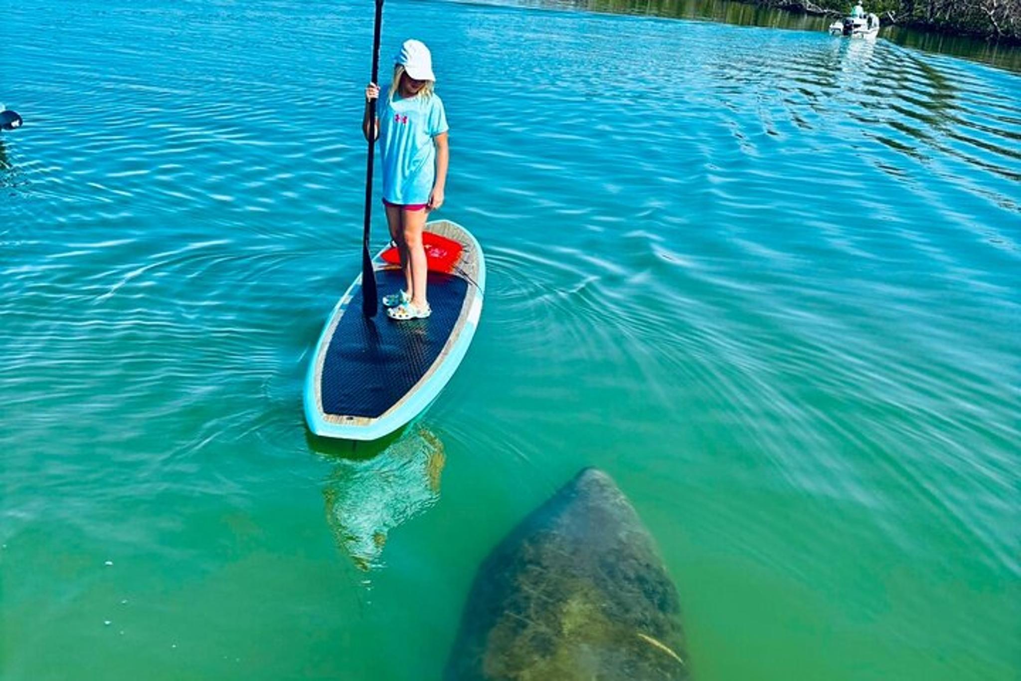 Bonita Springs Dolphin, Manatee, and Sea Turtle Adventure - Image 2