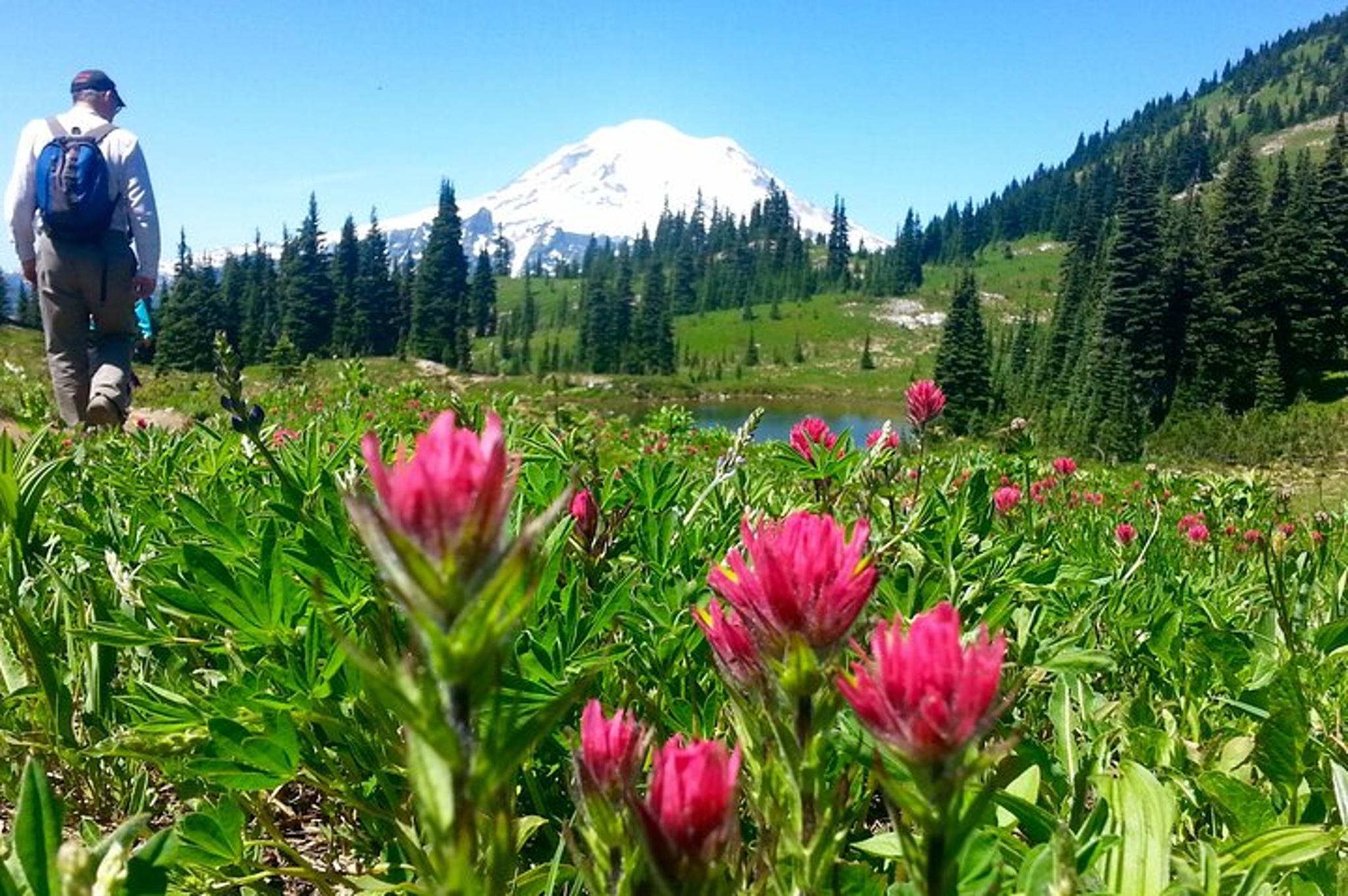 Seattle Mt Rainier Small Group Tour 2 Days