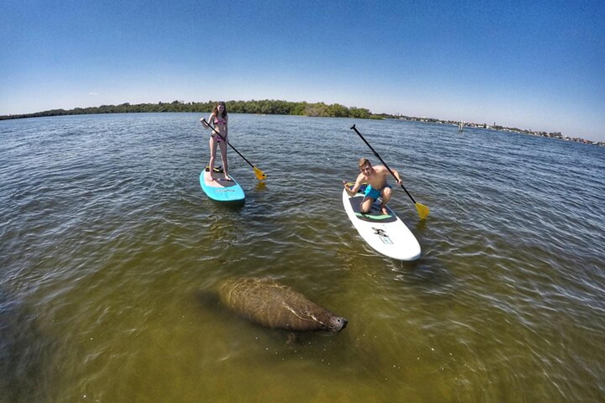 Jupiter Paddle Boarding Eco Adventure - Image 4