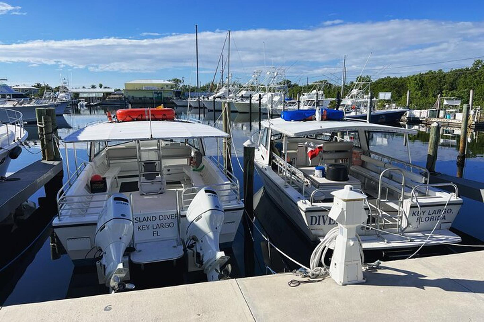 Key Largo Snorkeling Tour for 6 People - Image 4