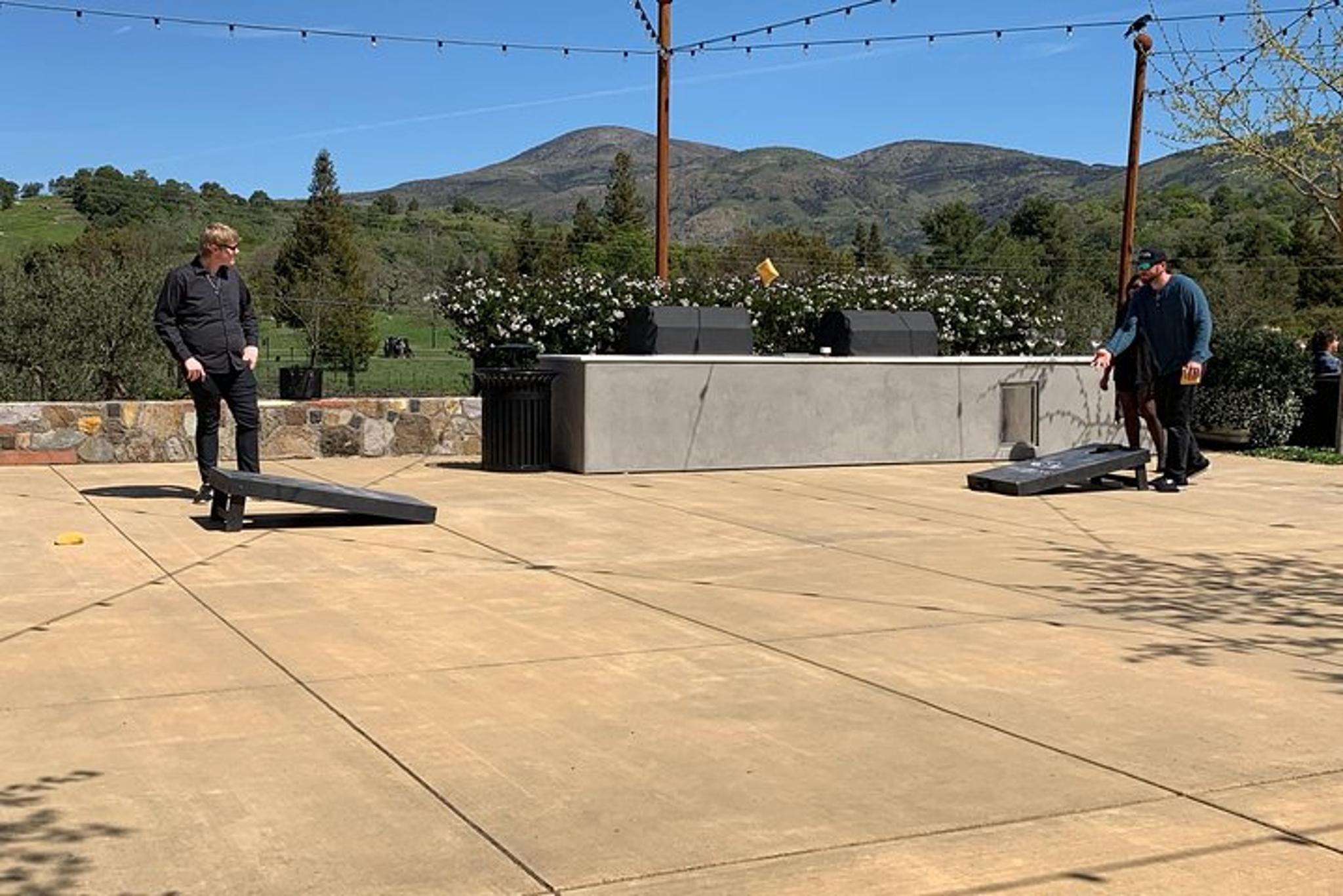 Napa Valley Wine Tour and Transportation - Image 5