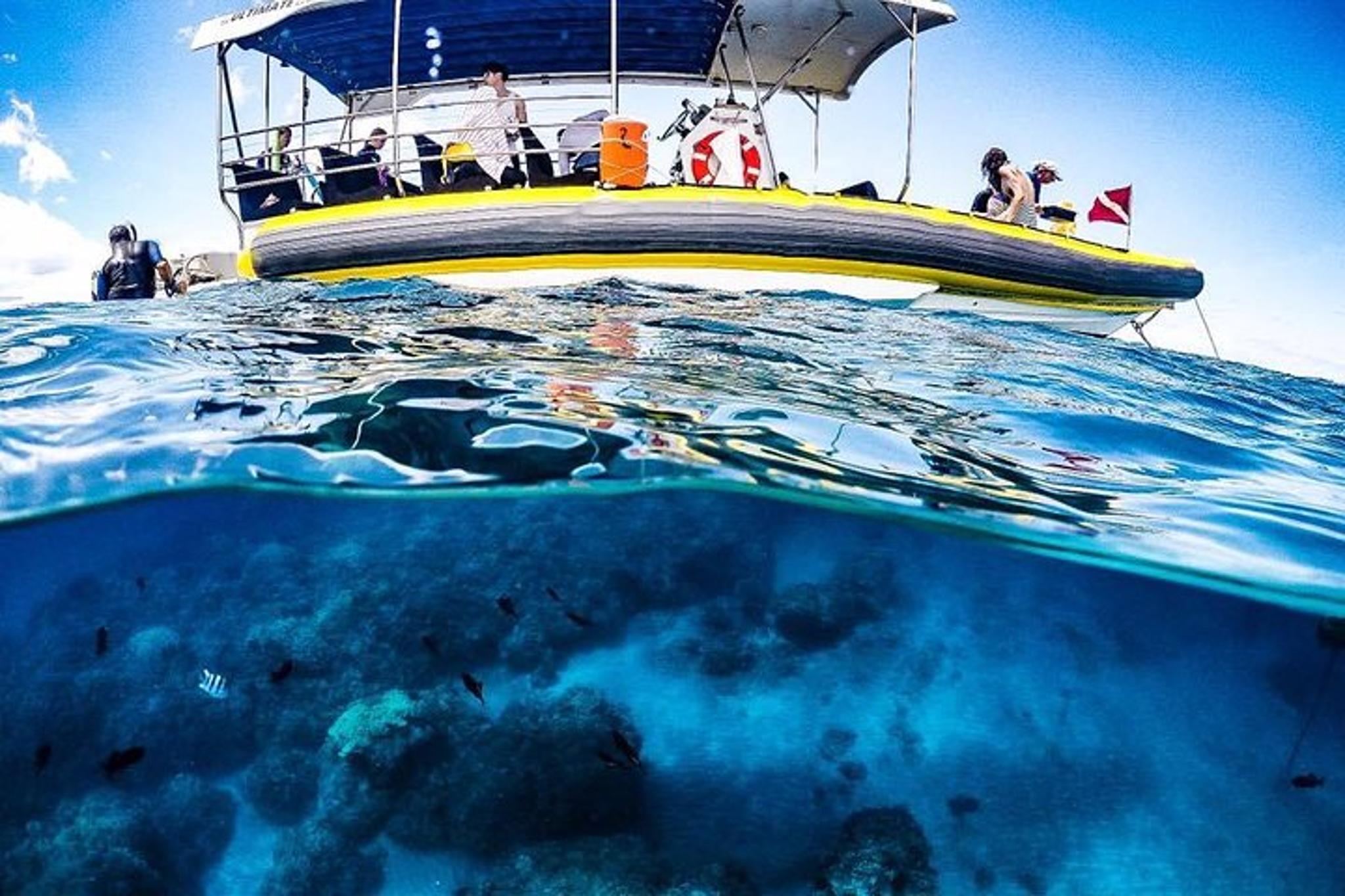Lanai Snorkel and Dolphin Encounter 4 hr - Image 6