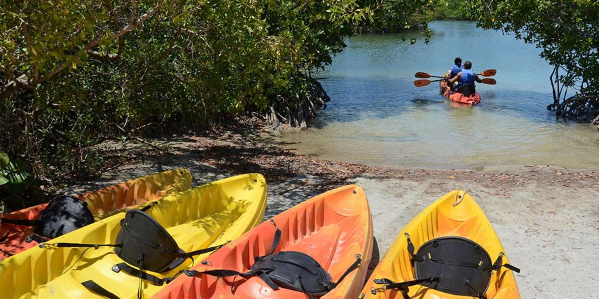 Miami Oleta River State Park Eco Paddle Tour 2 hr - Image 4