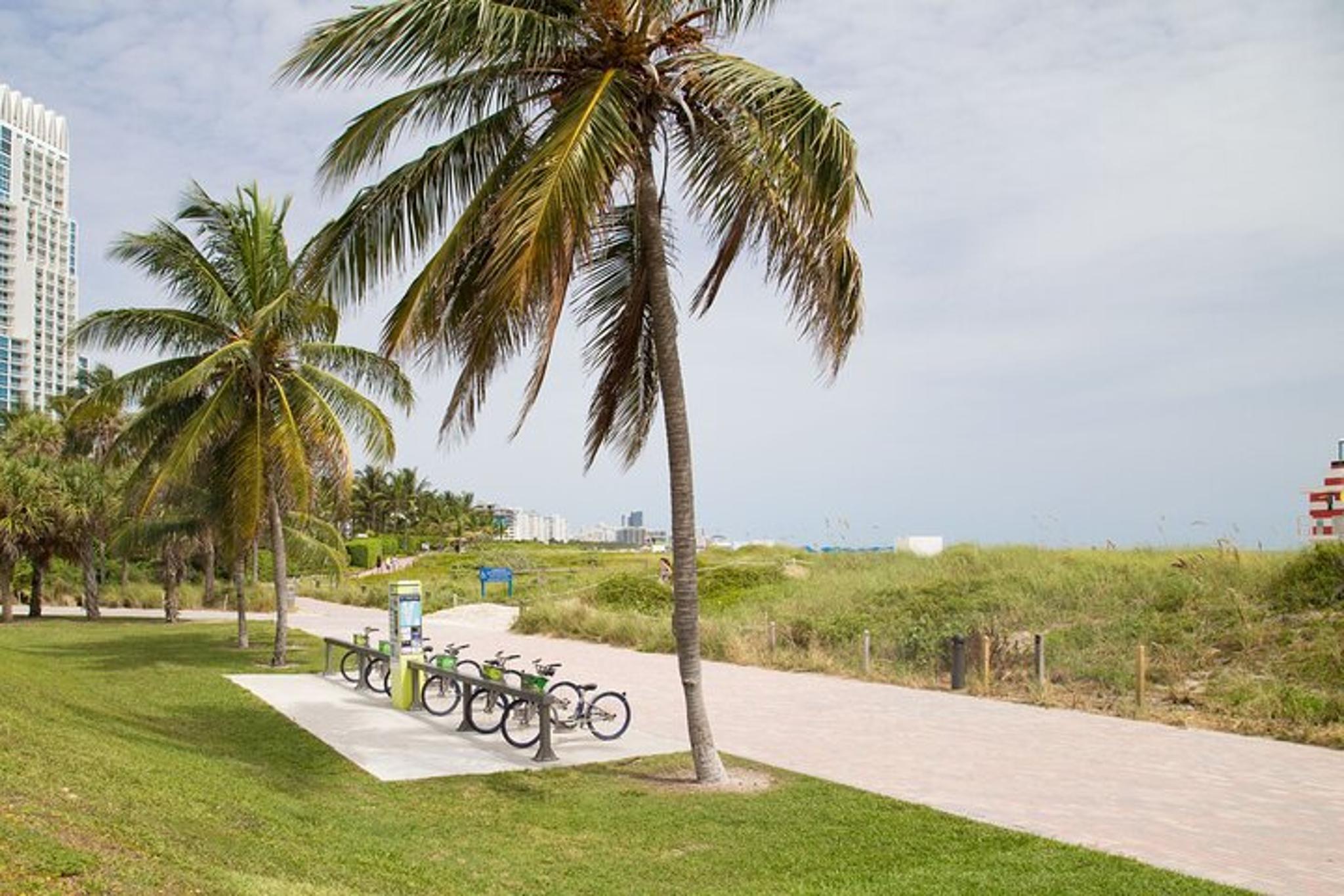 Miami Beach Bike Tour: Art, History & Local Secrets - Image 2