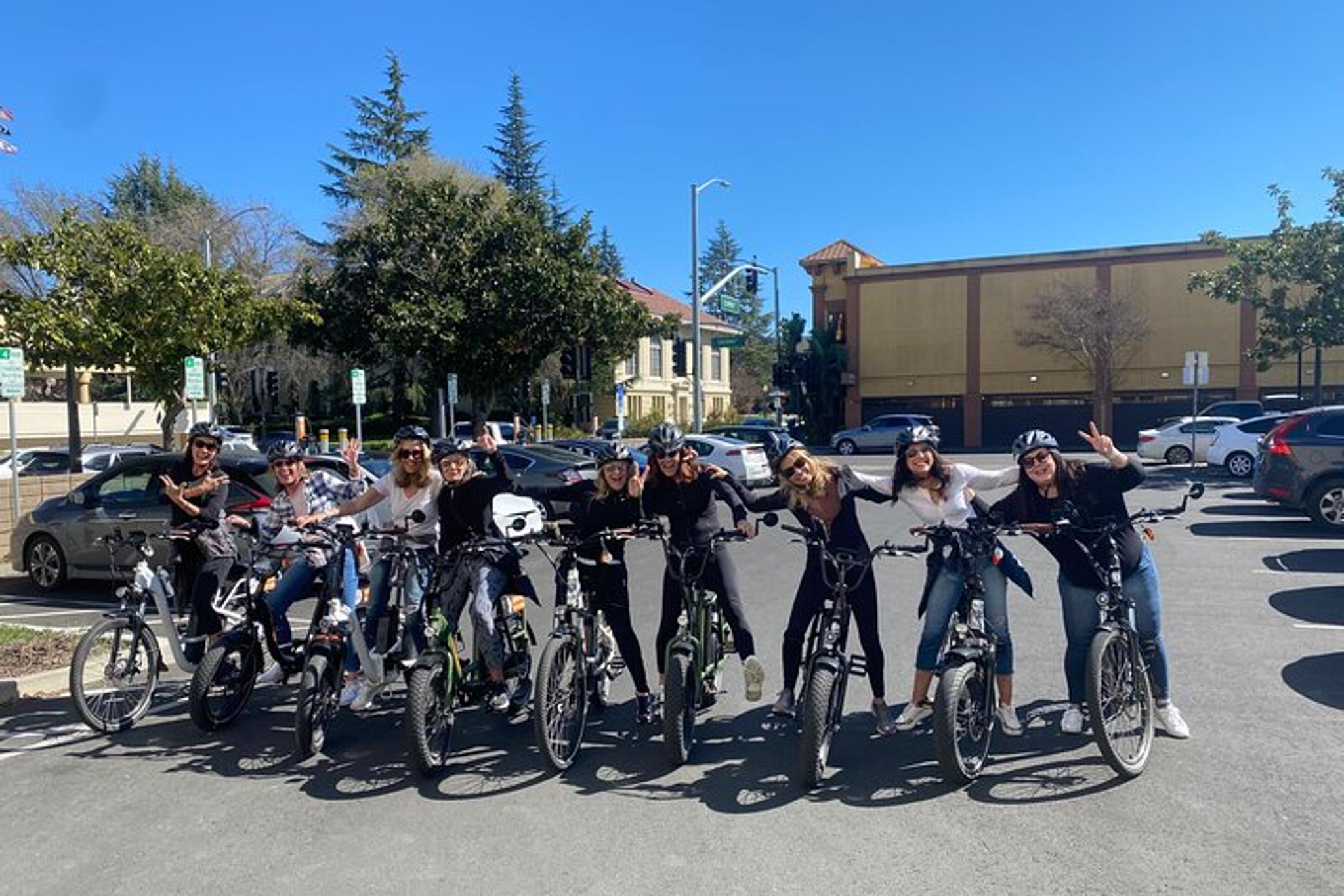 Napa E-Bike Rental with Picnic Lunch - Image 6