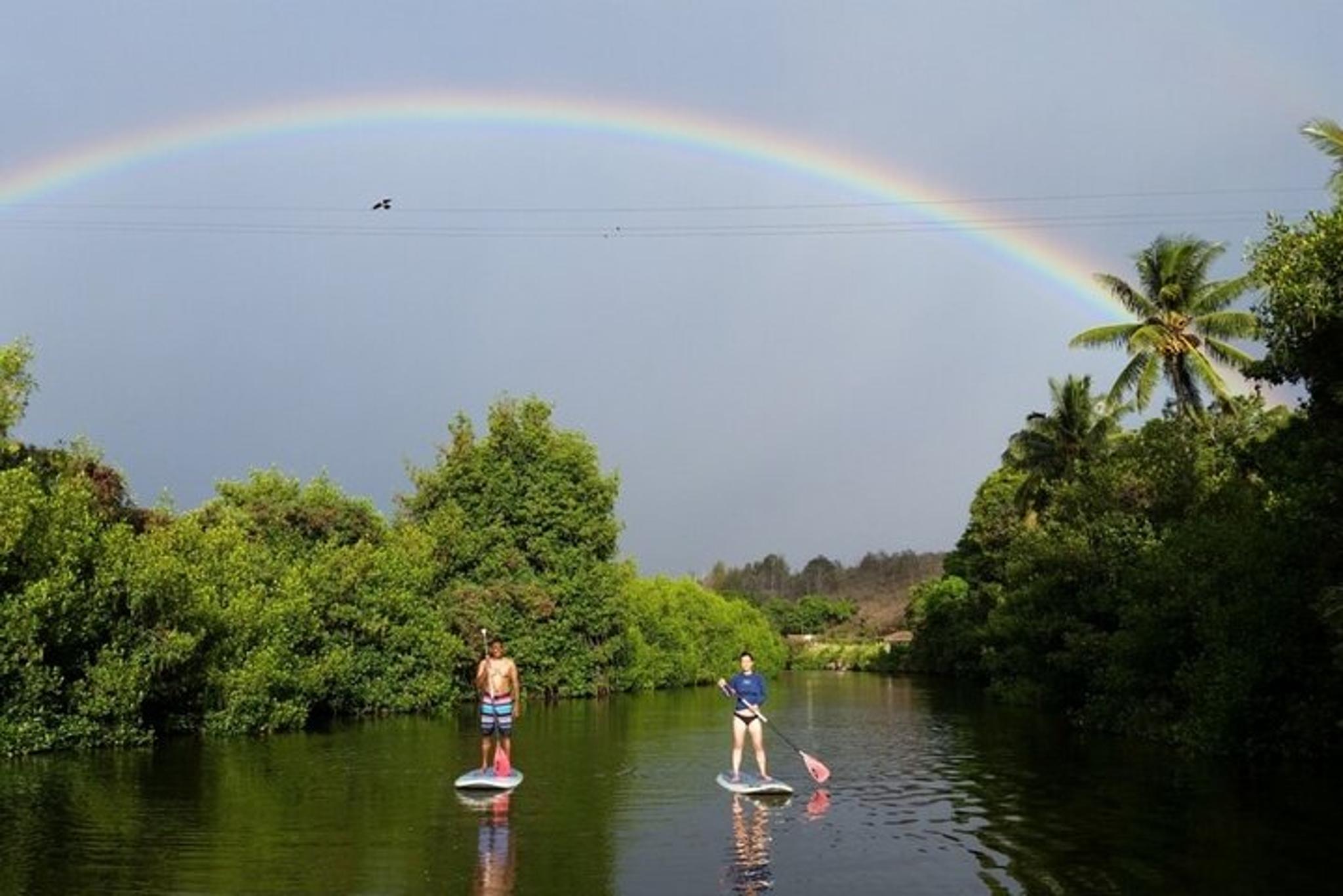 Haleiwa Stand Up Paddle Nature and Turtle Tour