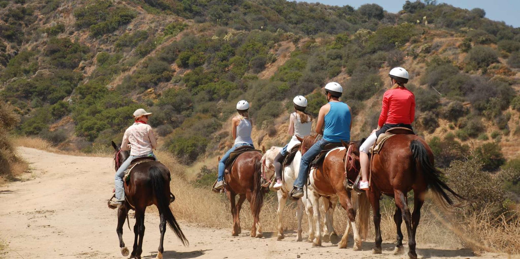 Los Angeles Mulholland Trail Horseback Riding Tour - Image 2