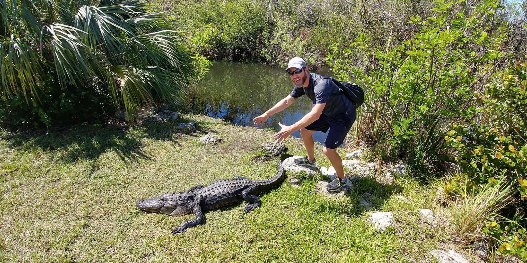 Miami Everglades Airboat and Tram Tour - Image 3