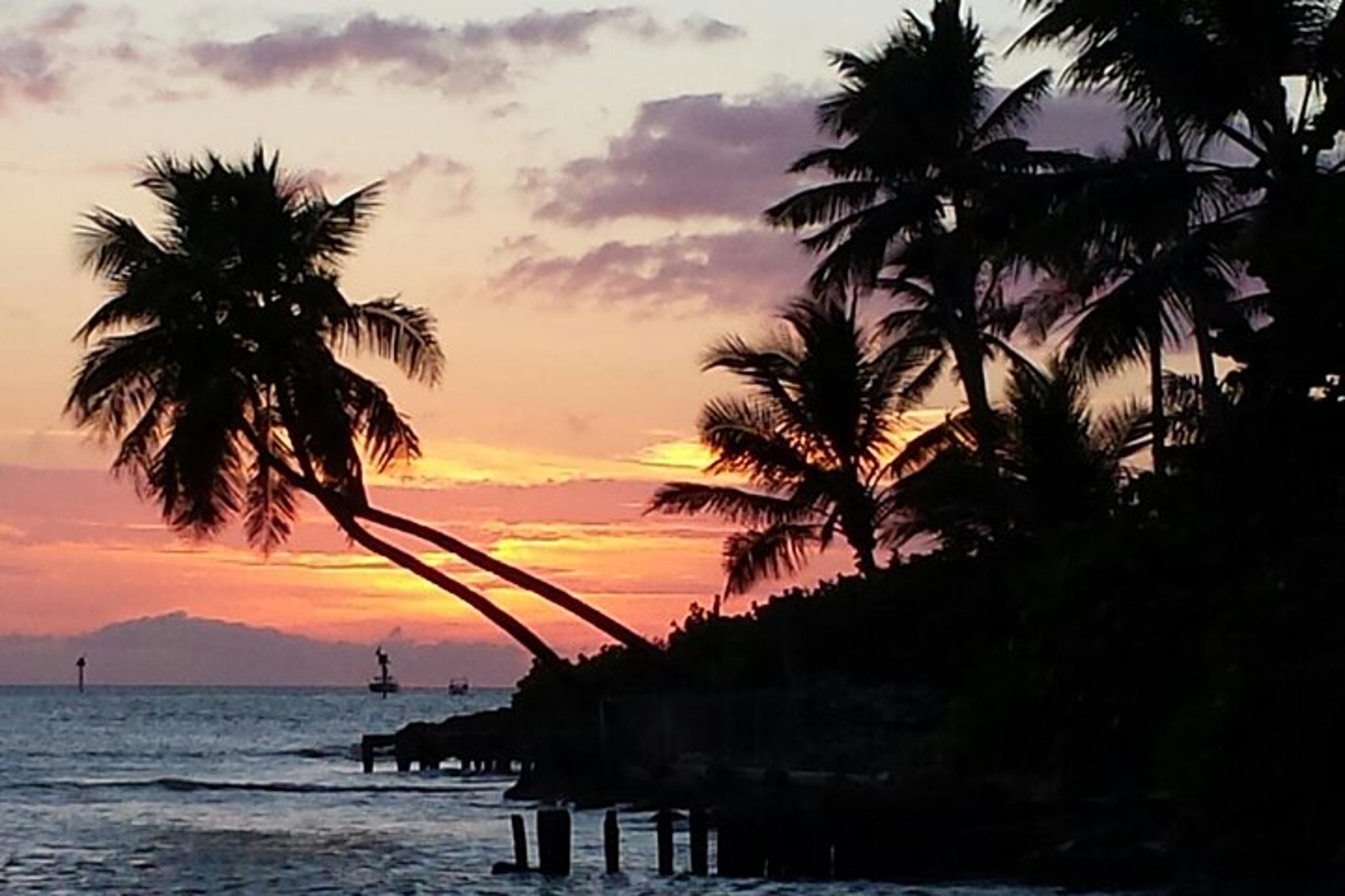 Naples Private Beach or Sunset Boat Tour - Image 3