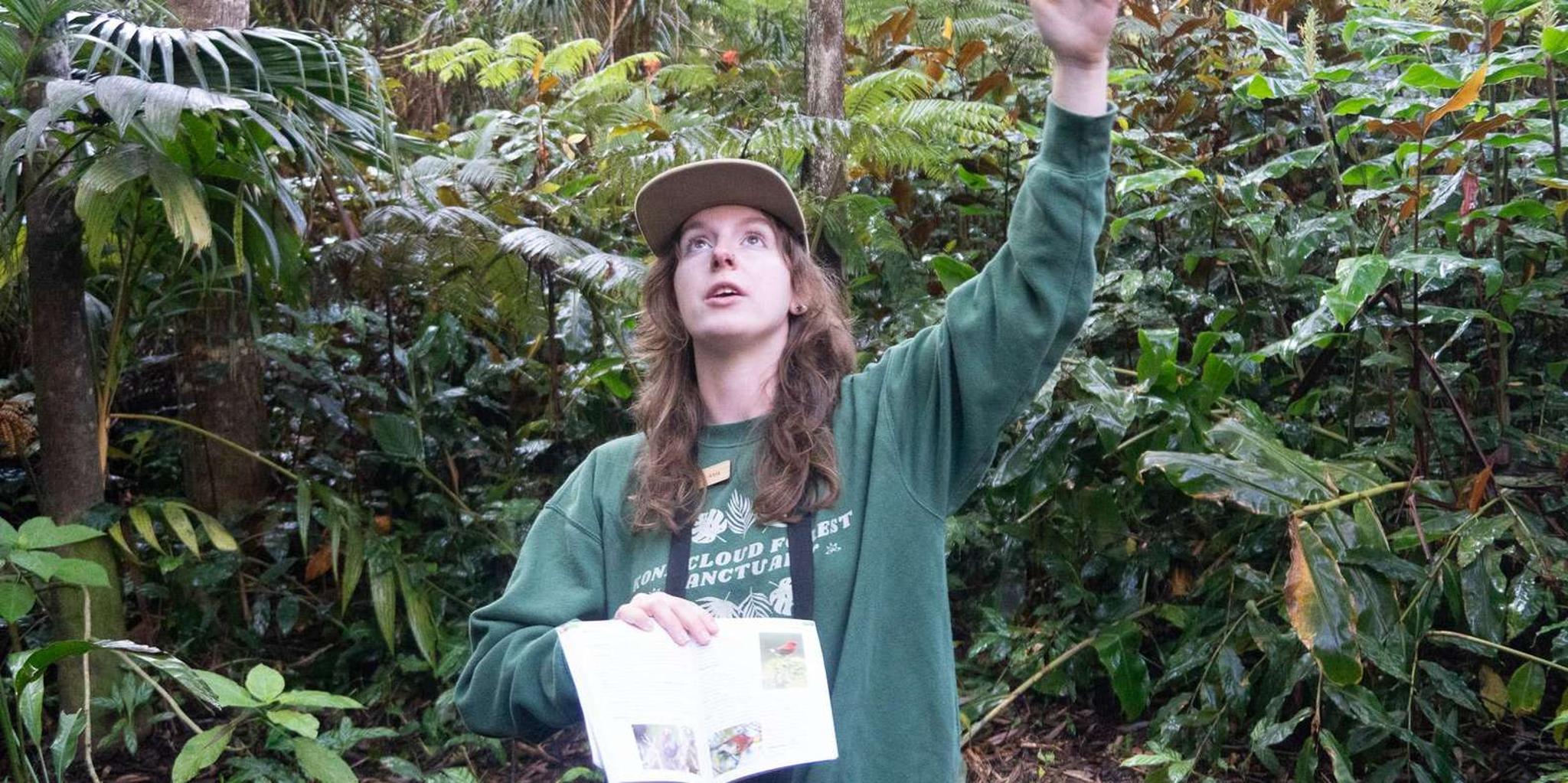 Kailua-Kona Birding Tour in Cloud Forest 2 hr - Image 4