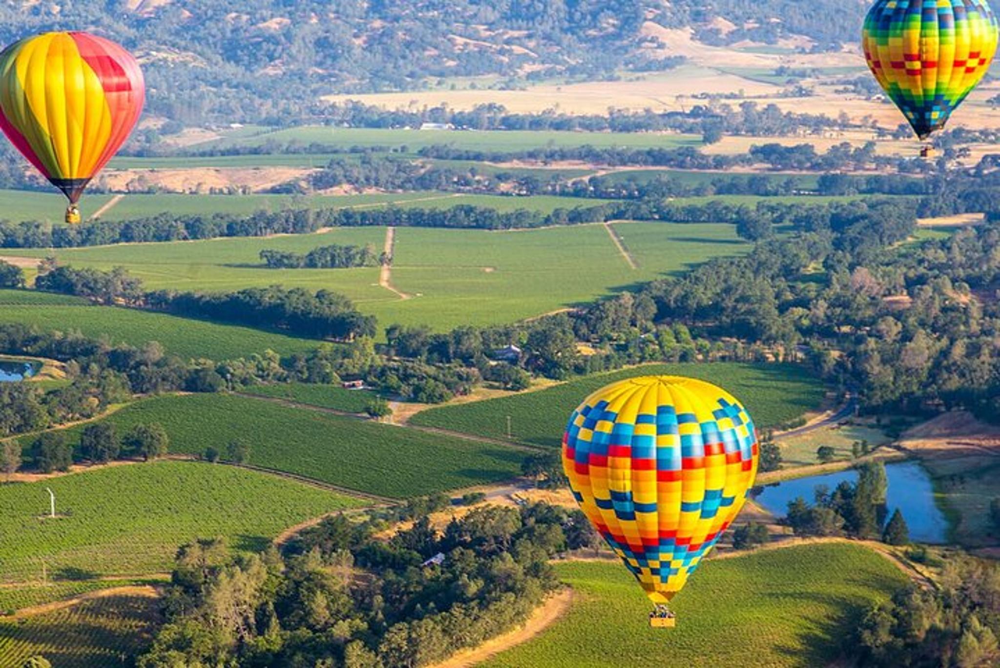 San Francisco Airport Transfer to Napa Valley - Image 4