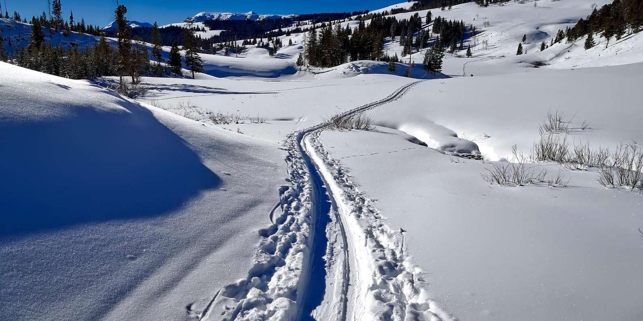 Gardiner Yellowstone Cross-Country Ski Tour - Image 5