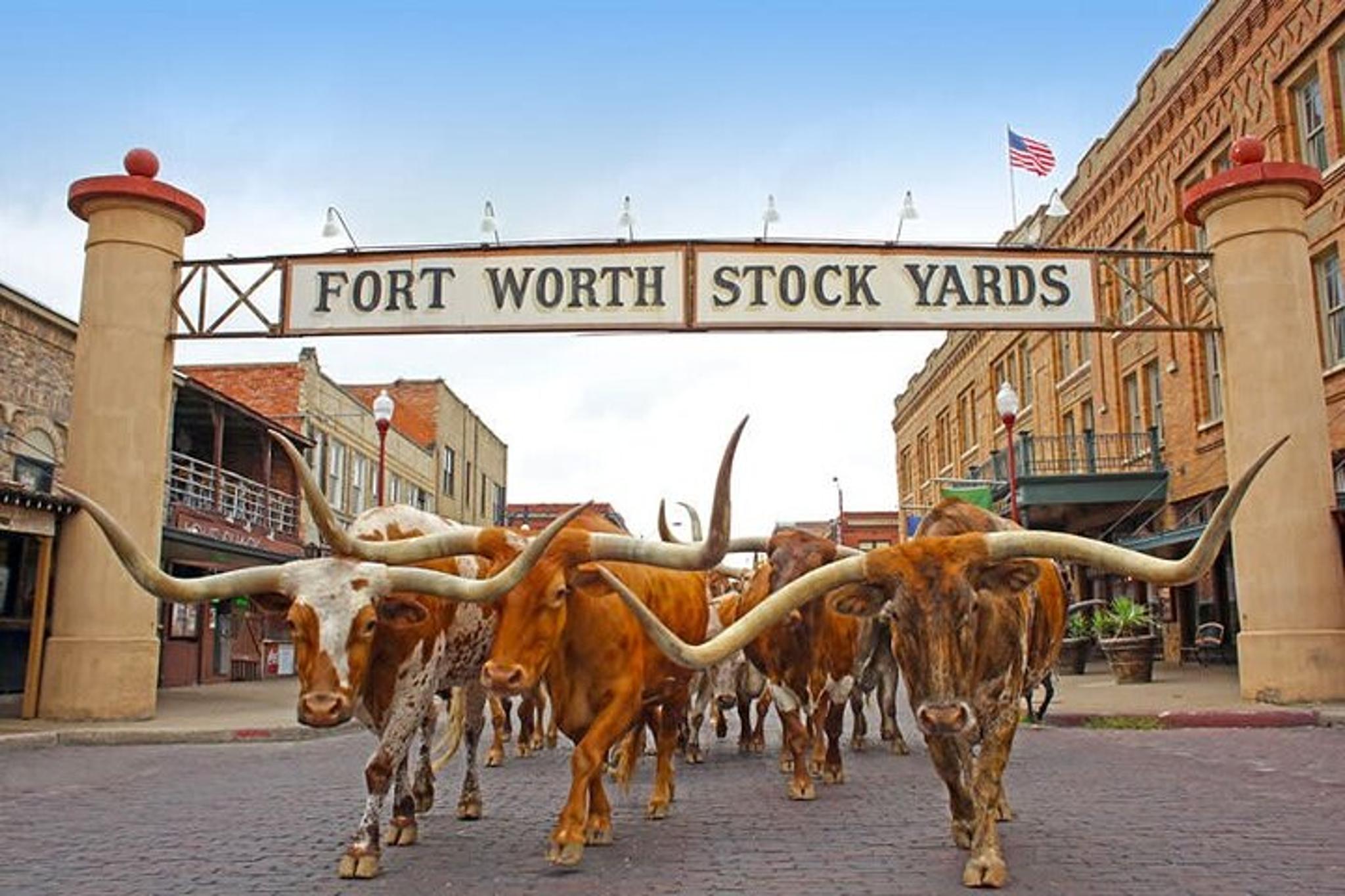 Fort Worth Stockyards Food Tour - Image 2