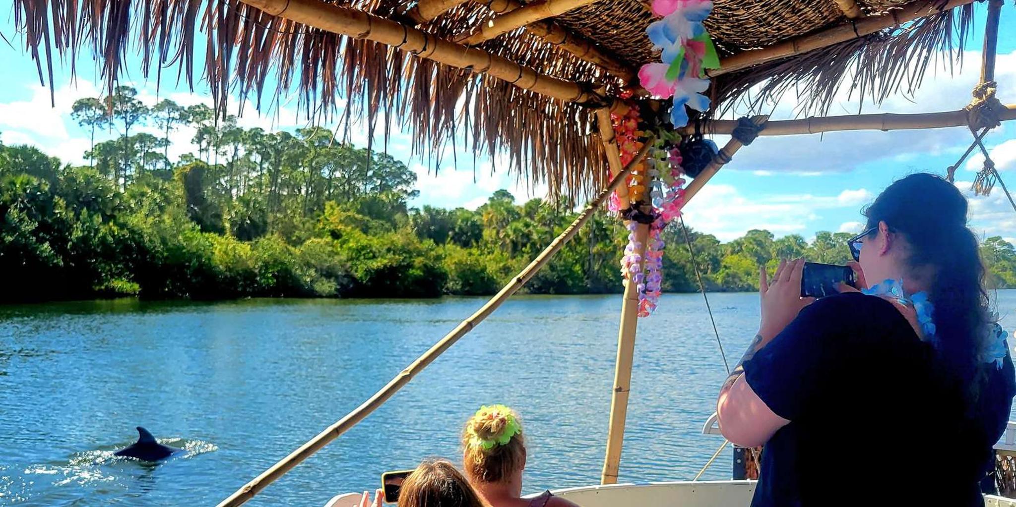 Cocoa Beach Dolphin Sightseeing Tour 2 hr