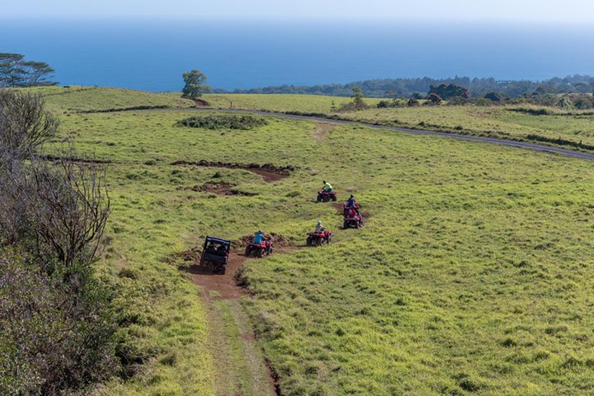 Hilo ATV Waterfall and Swim Adventure 90 Min - Image 2