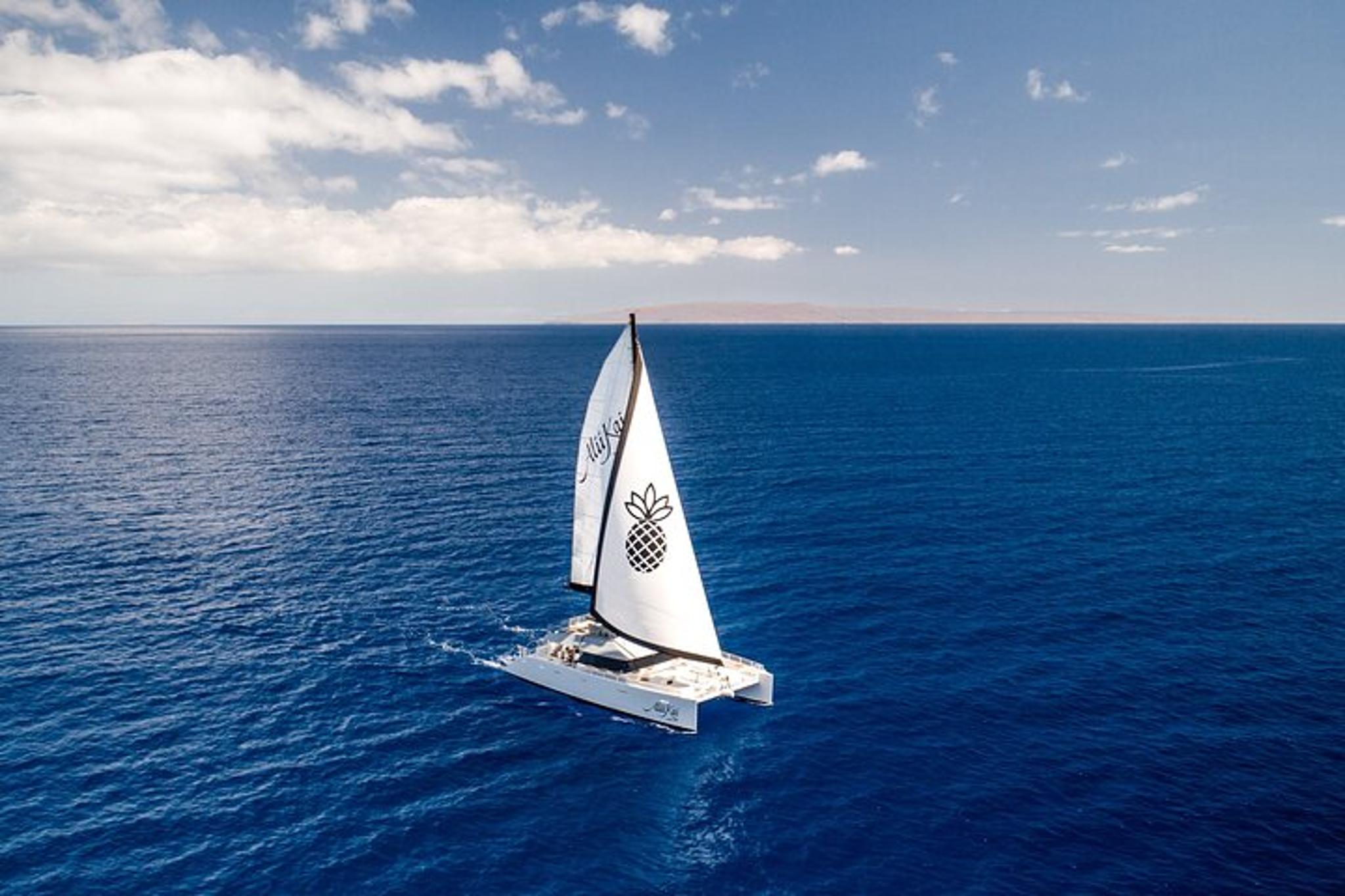 Maui Catamaran Sunset Dinner Sail - Image 2