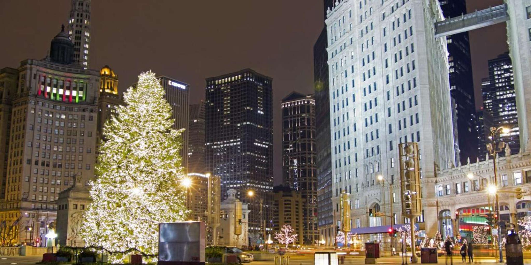 Chicago Festive Lights Christmas Tour 2 hr