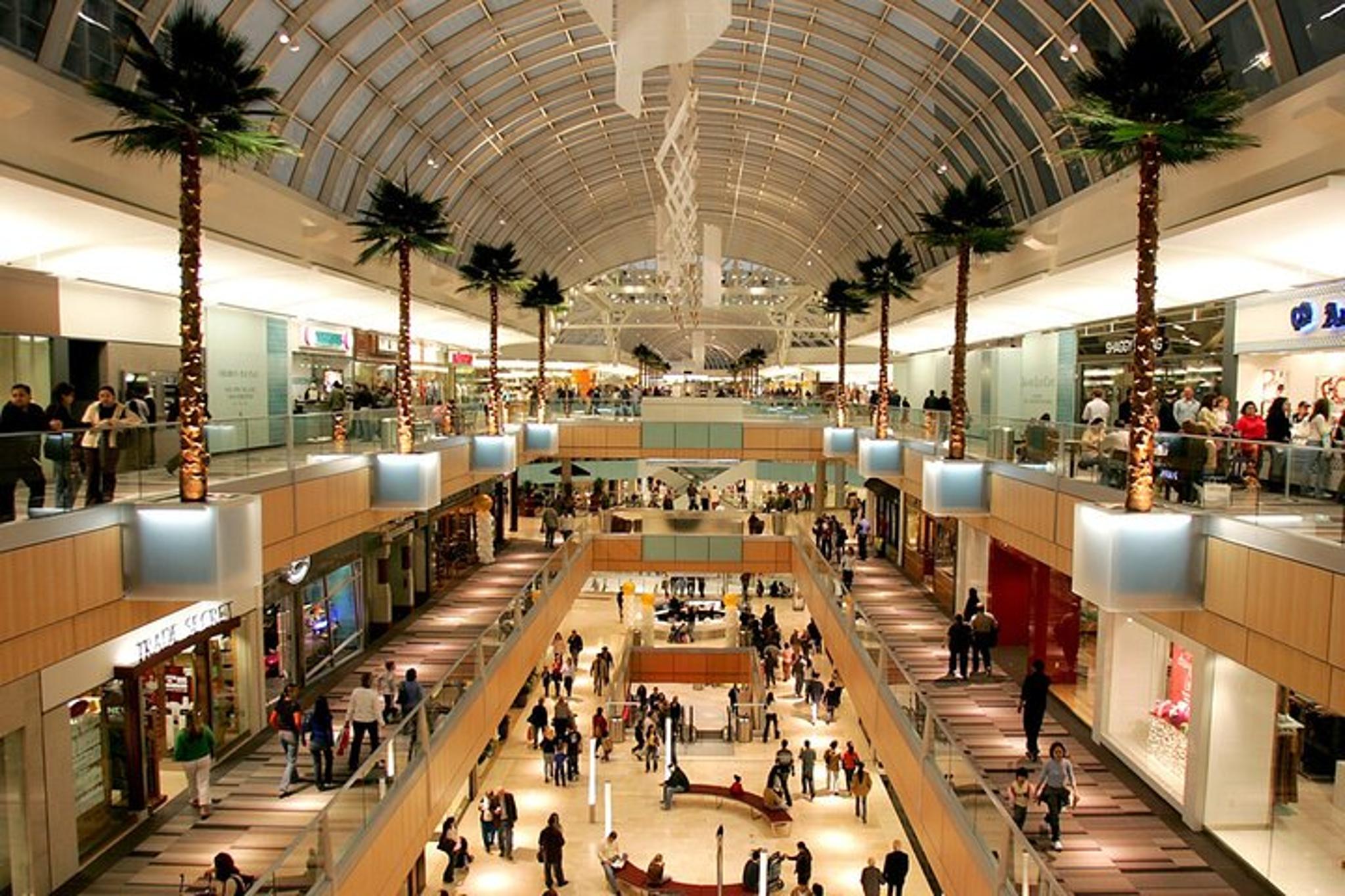 Dallas Shopping Malls Private Limousine Tour - Image 2