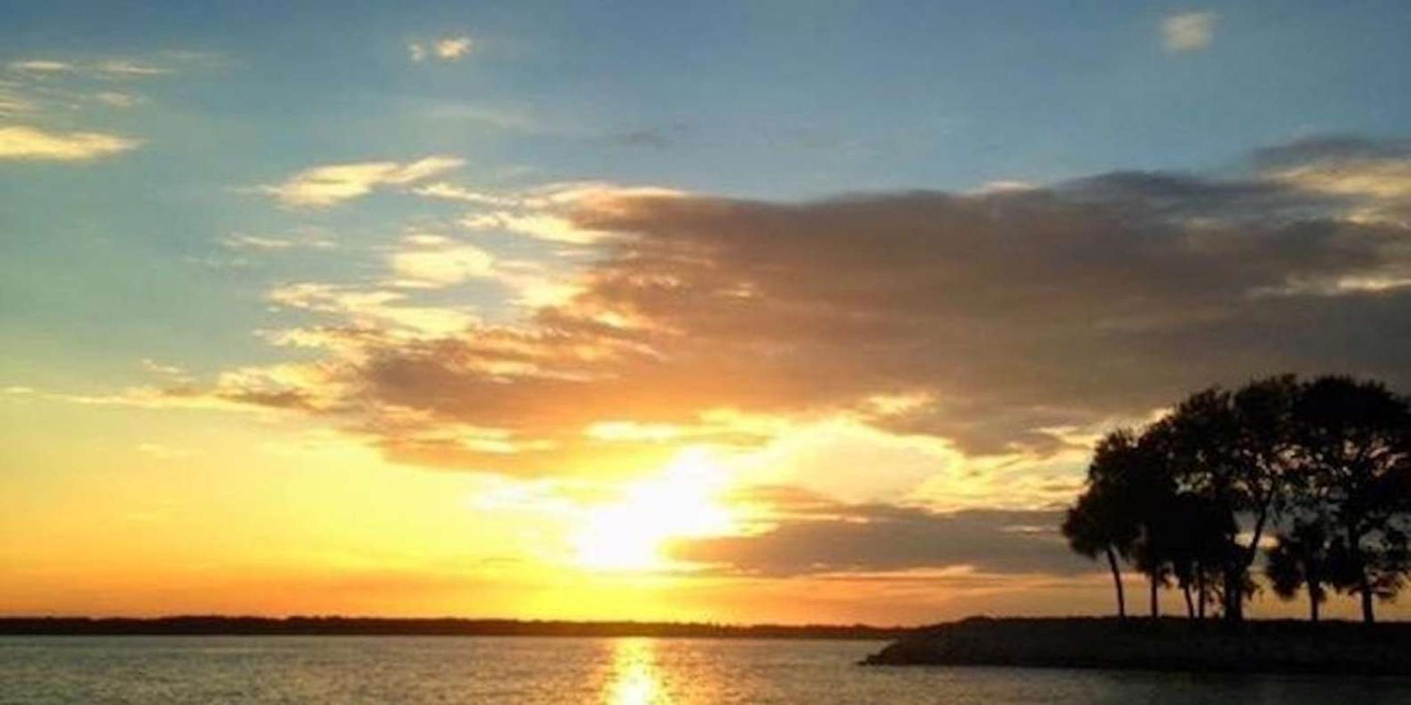 Hilton Head Island Dolphin Watching Tour