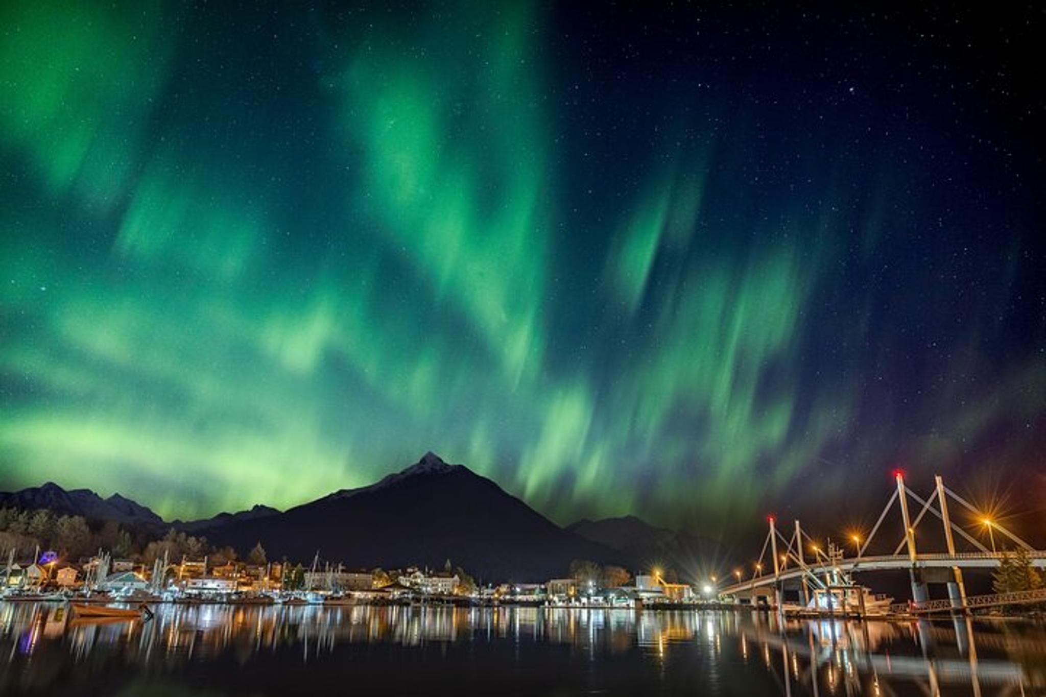 Sitka Wildlife Film Experience with Q&A 45 min - Image 5